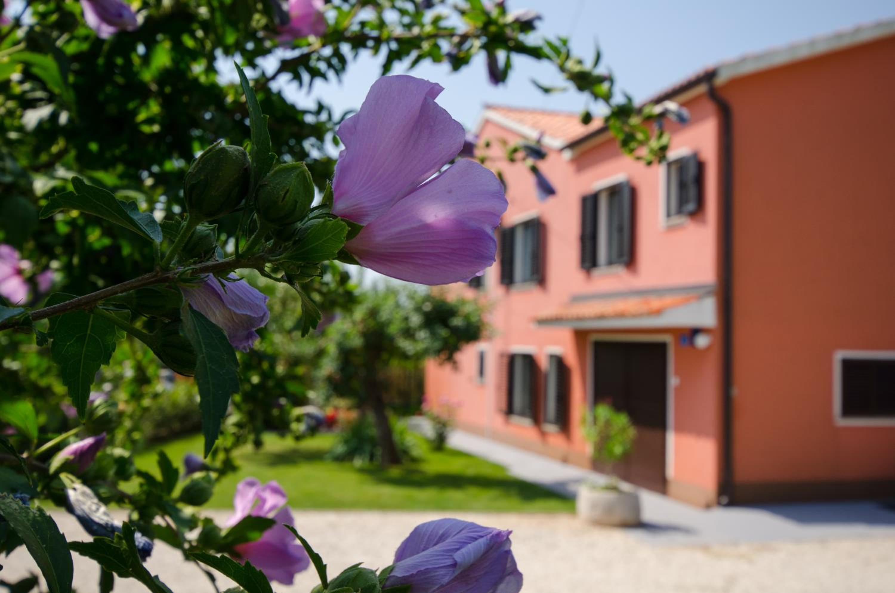 Villa Roza