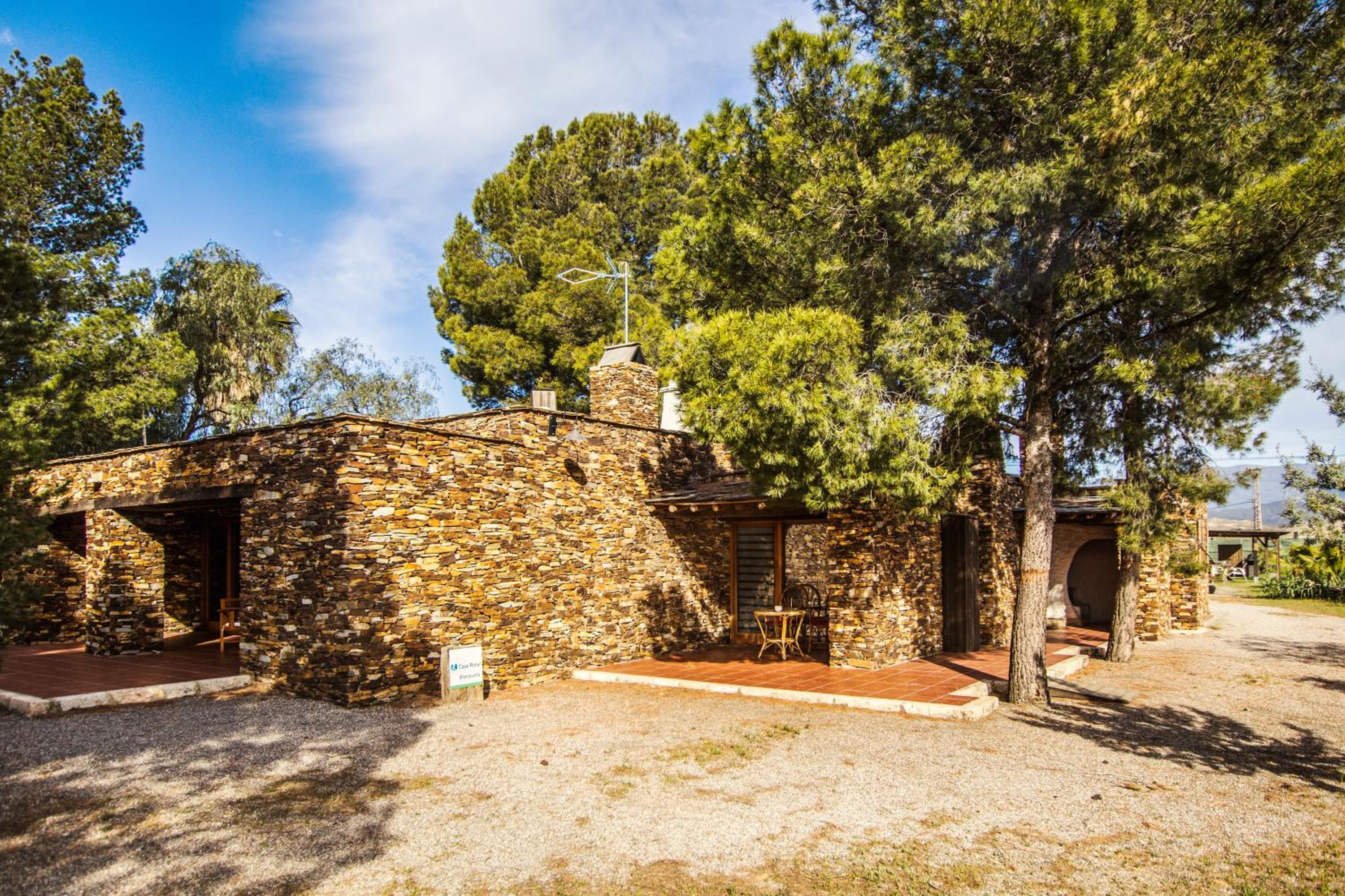 Alojamientos Rurales los Albardinales view 3