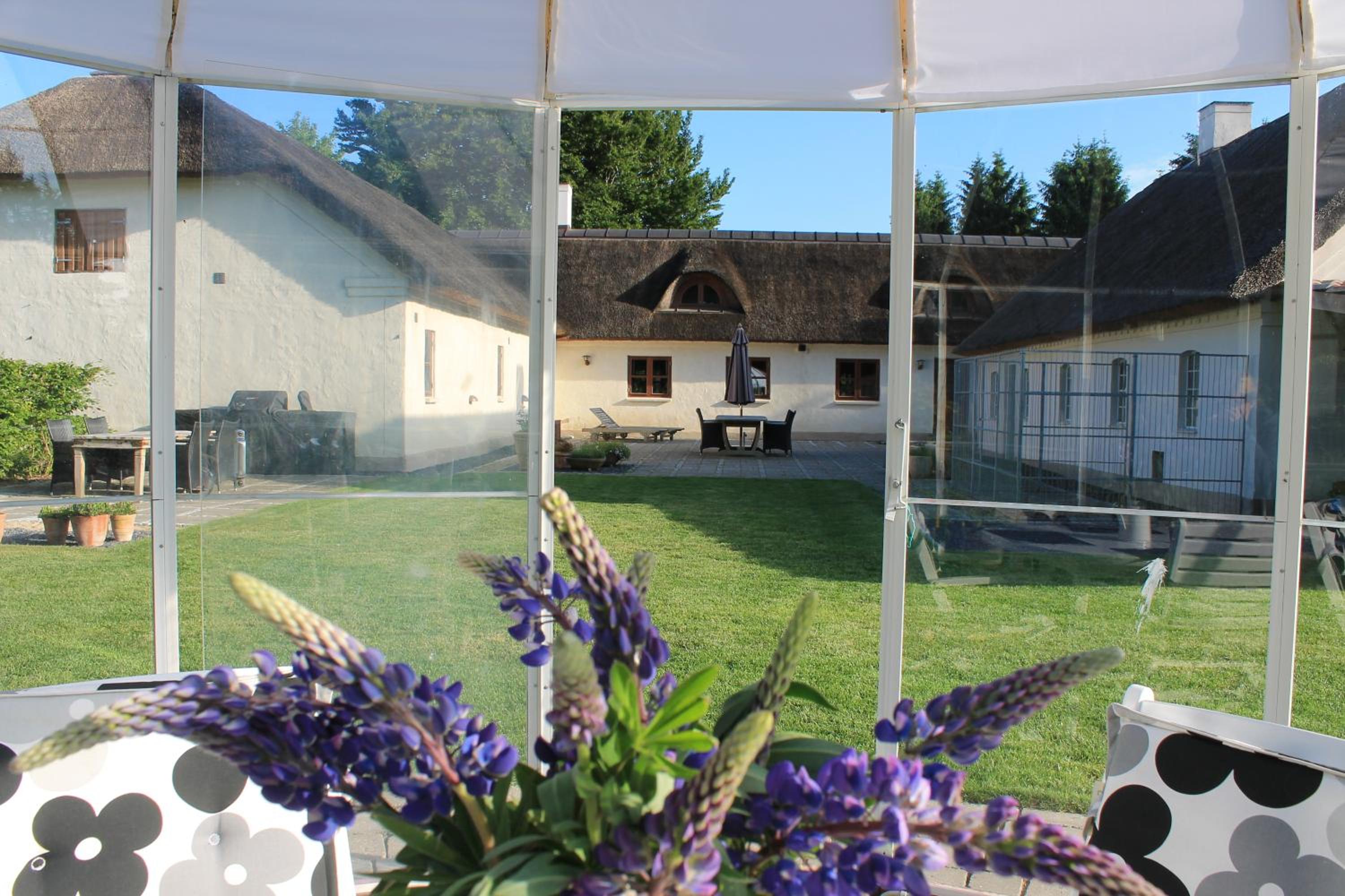 Photo 51