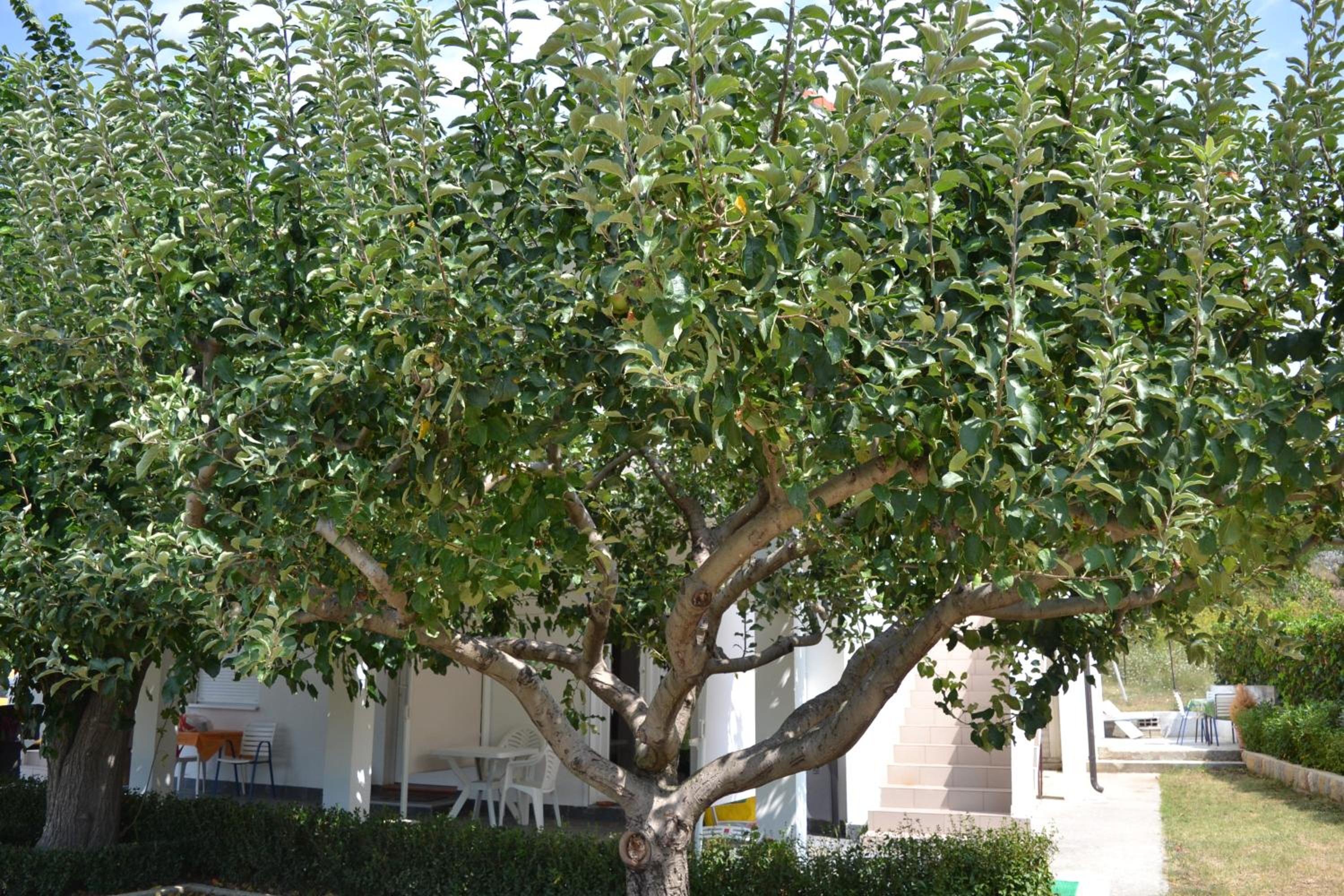 Photo 34