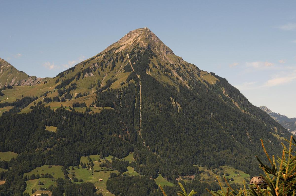 Chalet Tannegg