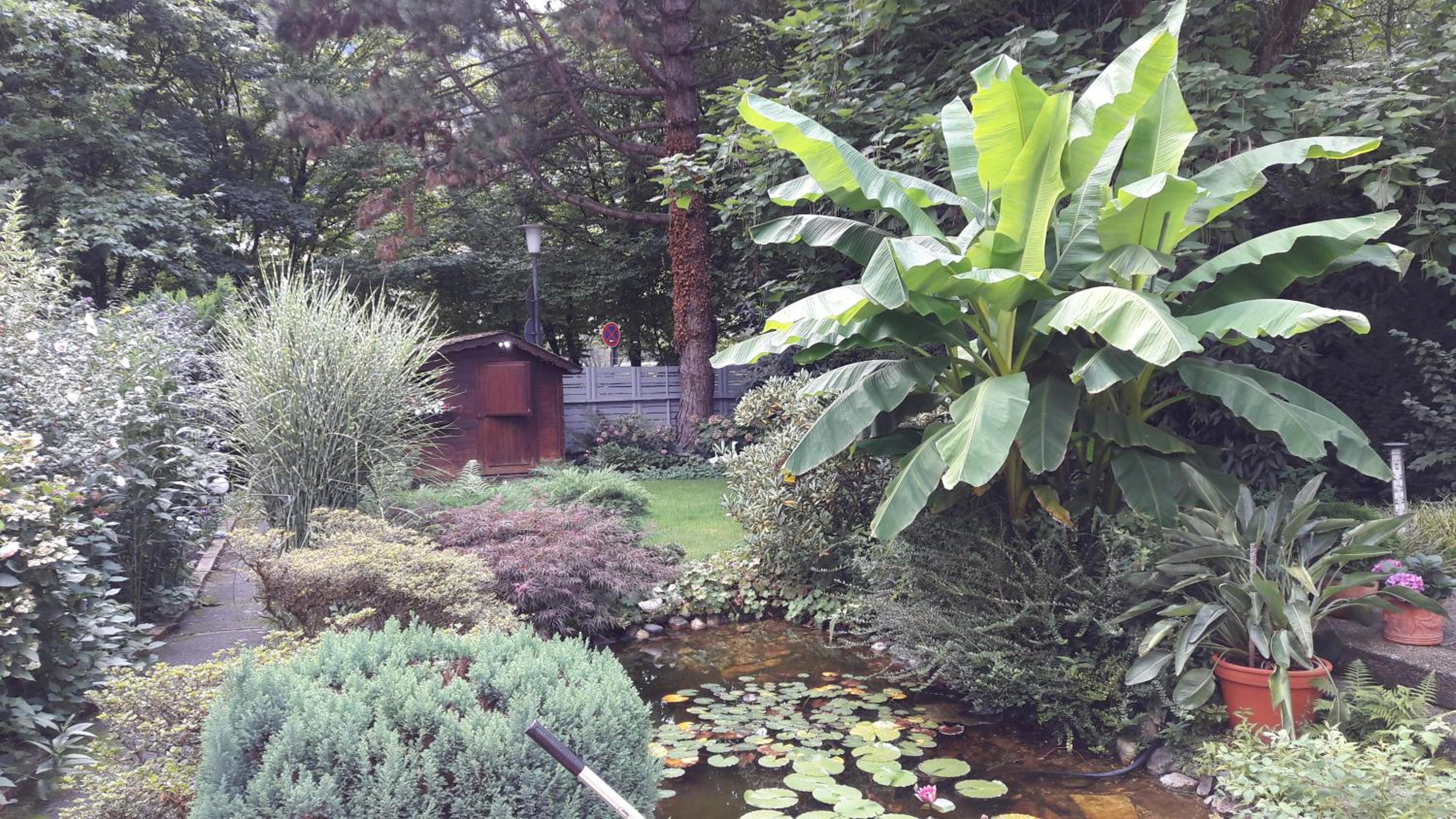 Photo 15
