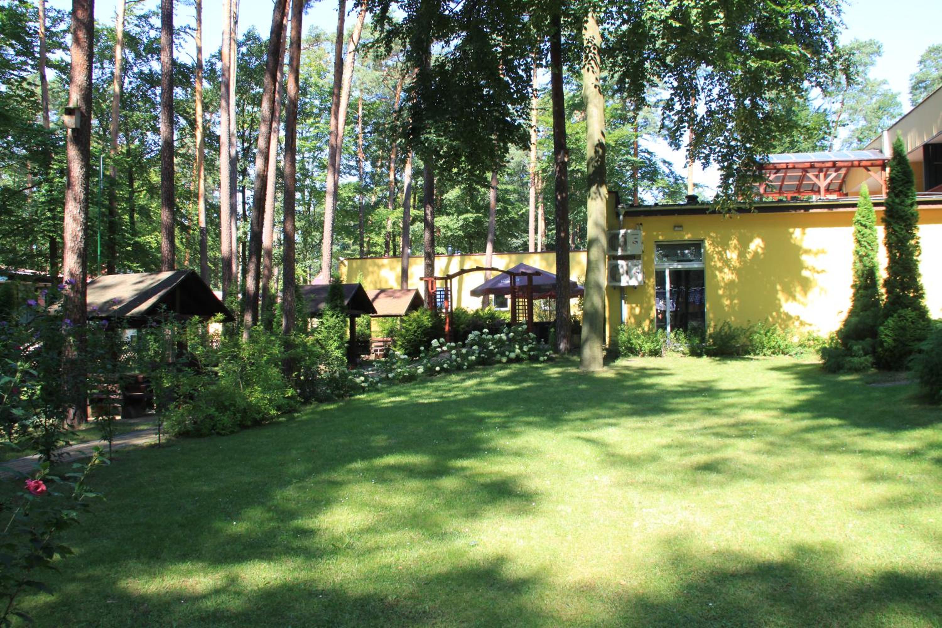 Photo 42