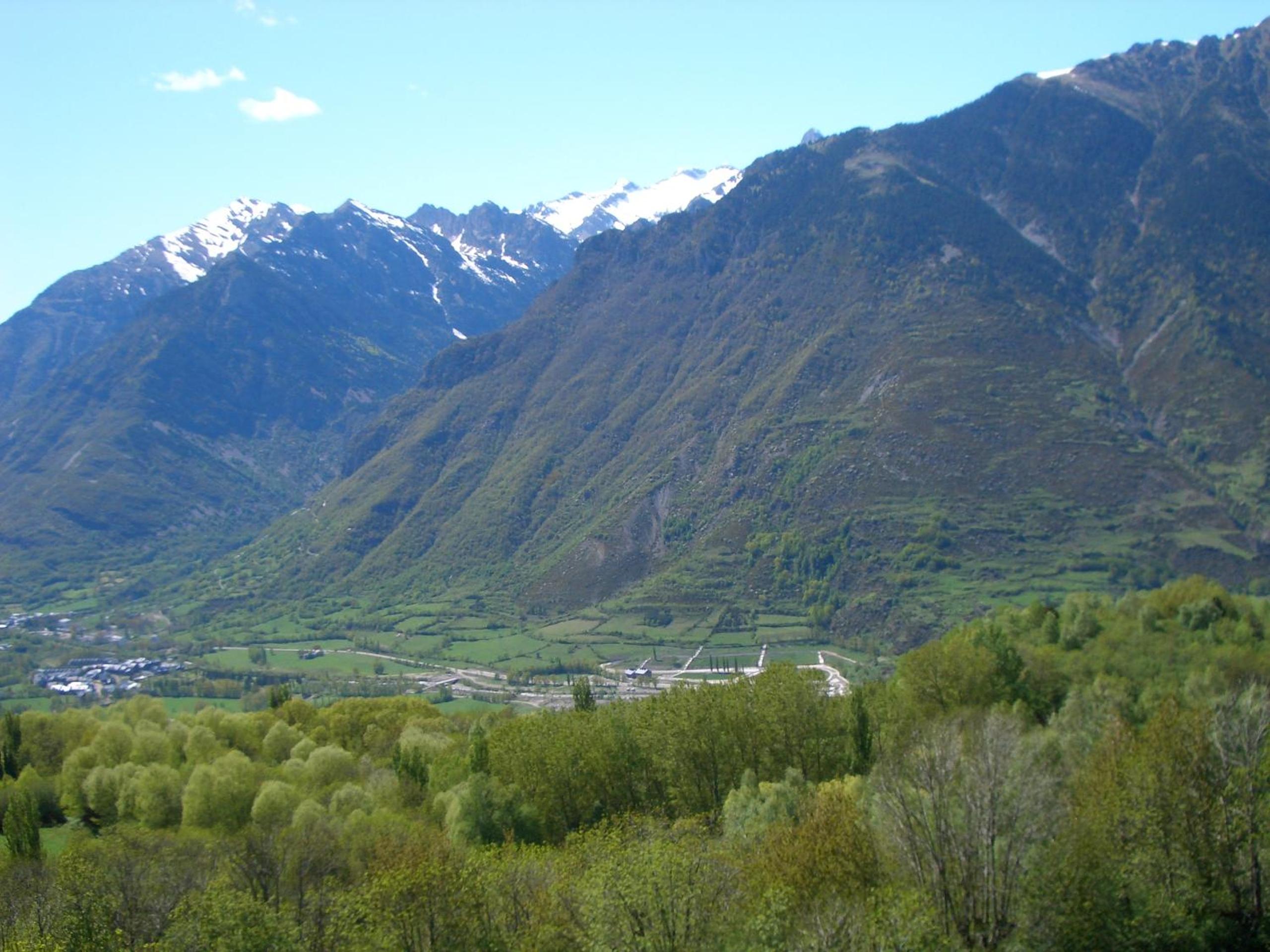 Photo 46