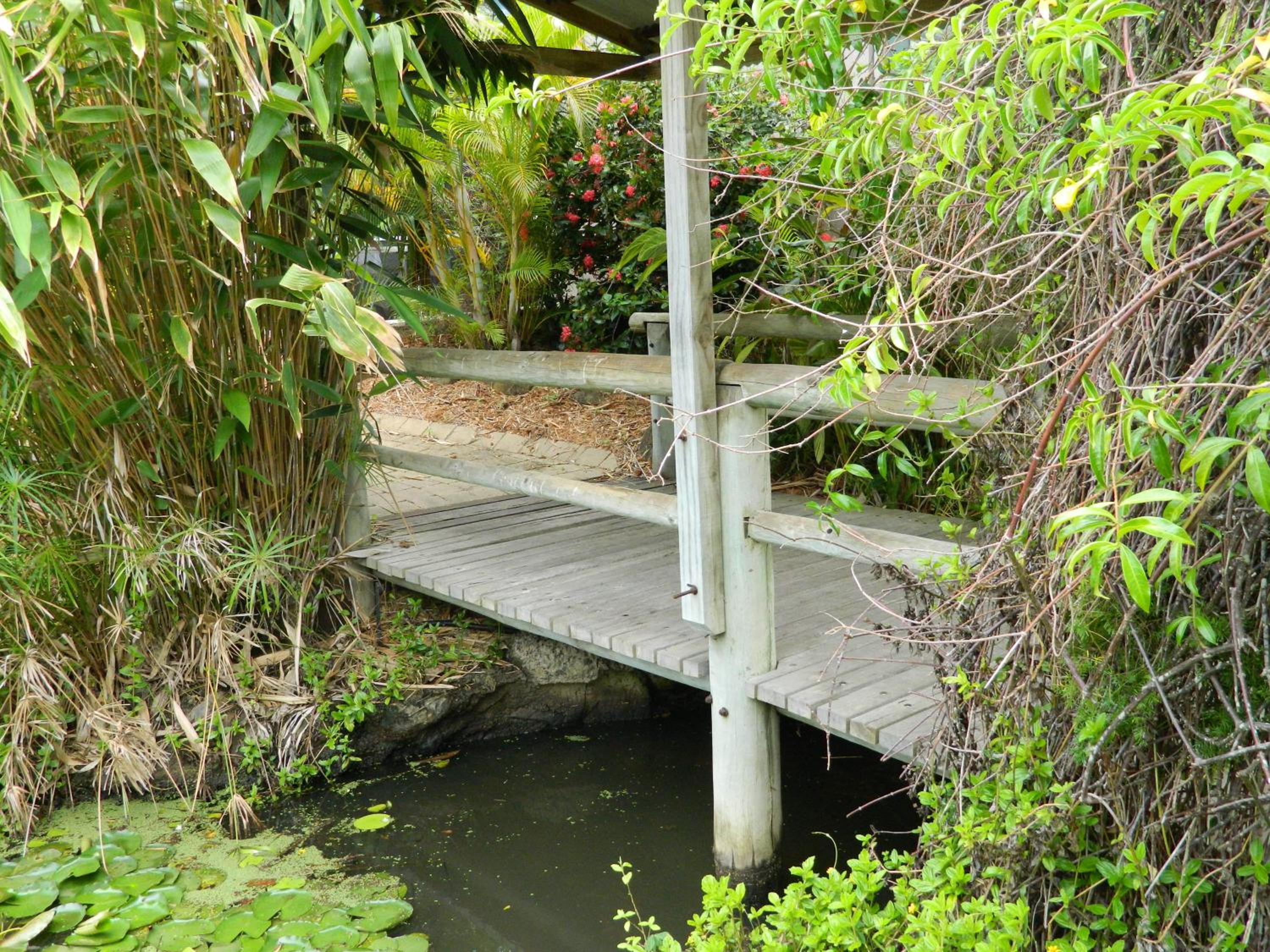 Photo 35