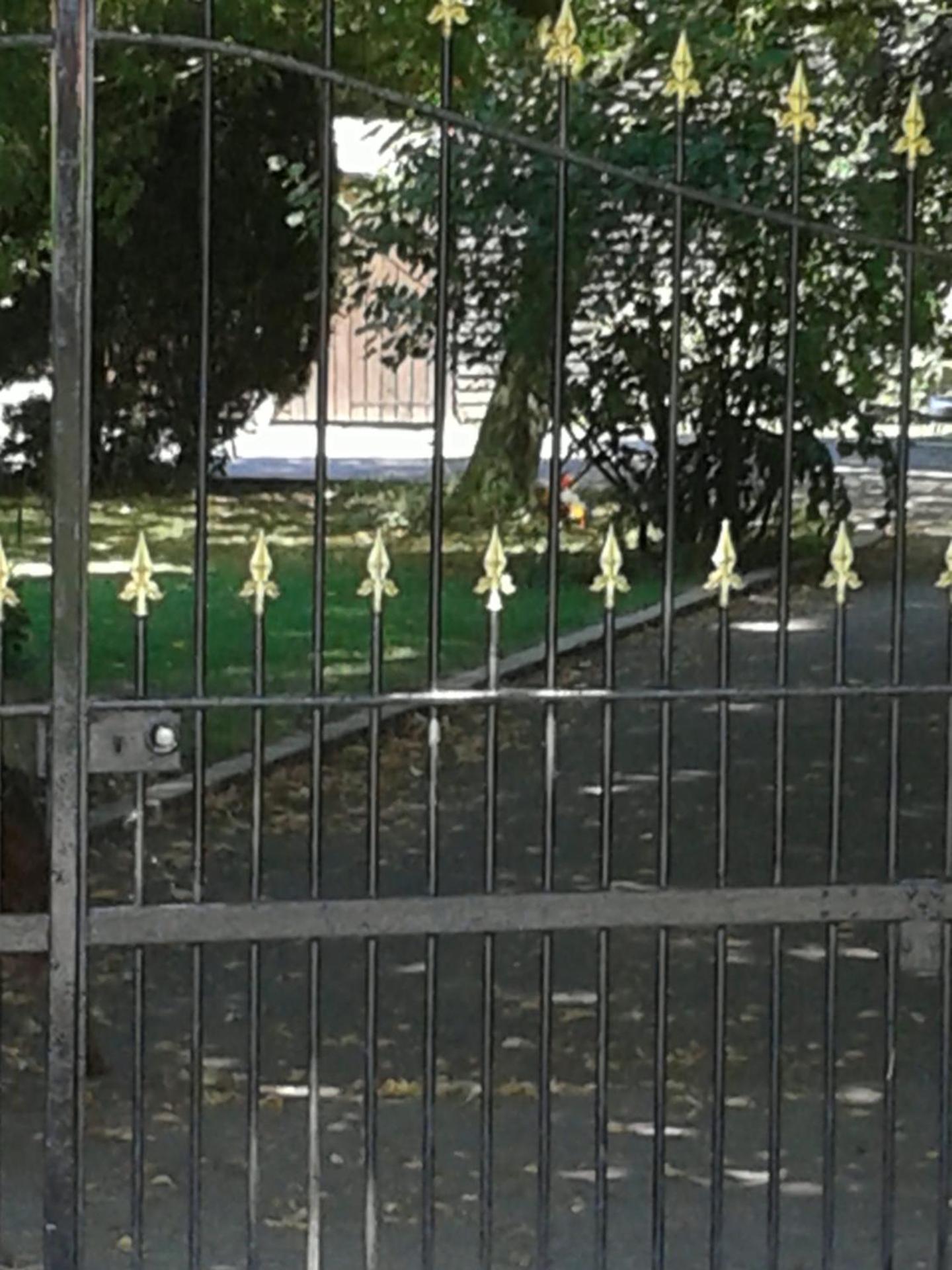 Photo 7