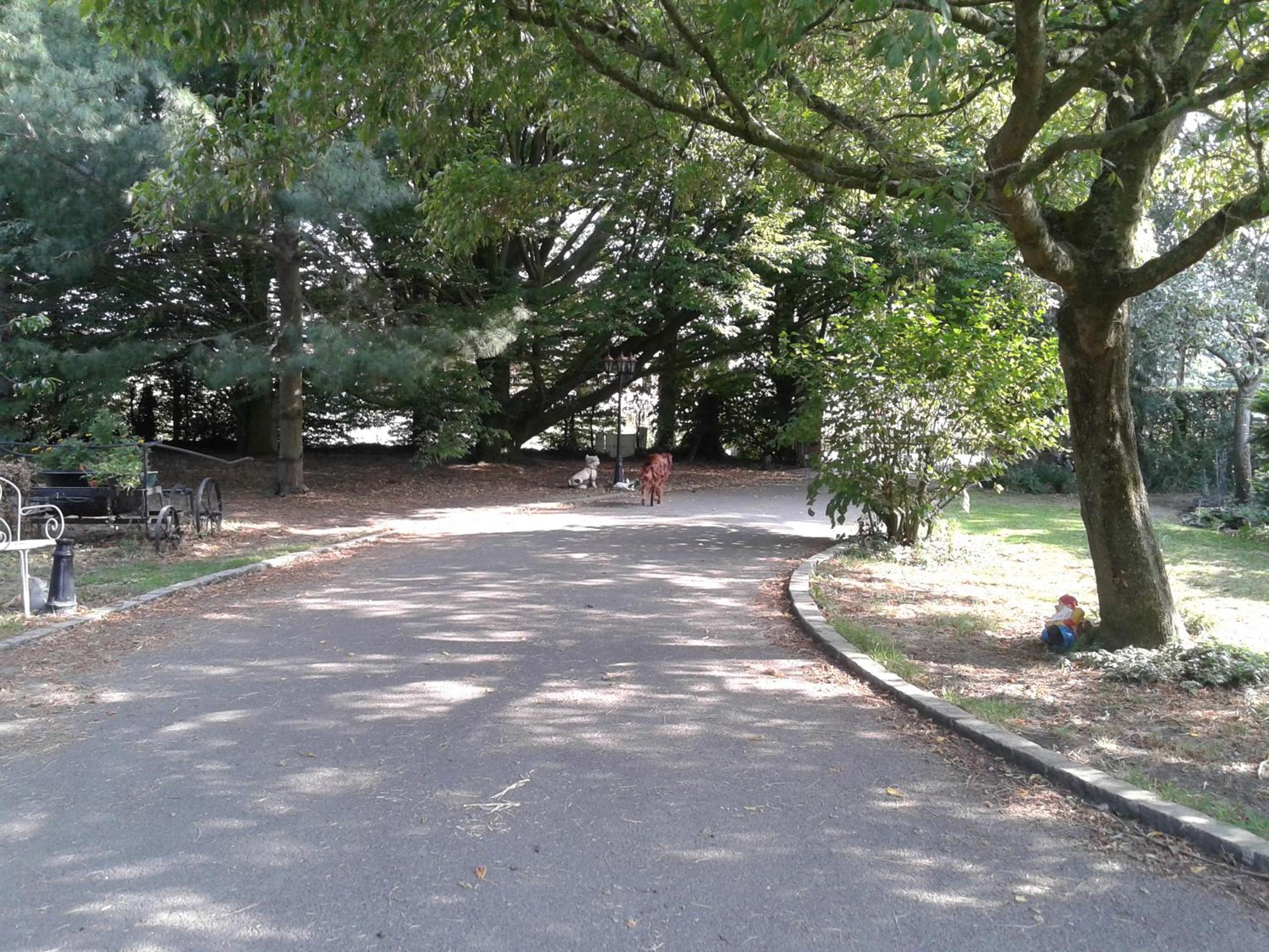 Photo 20