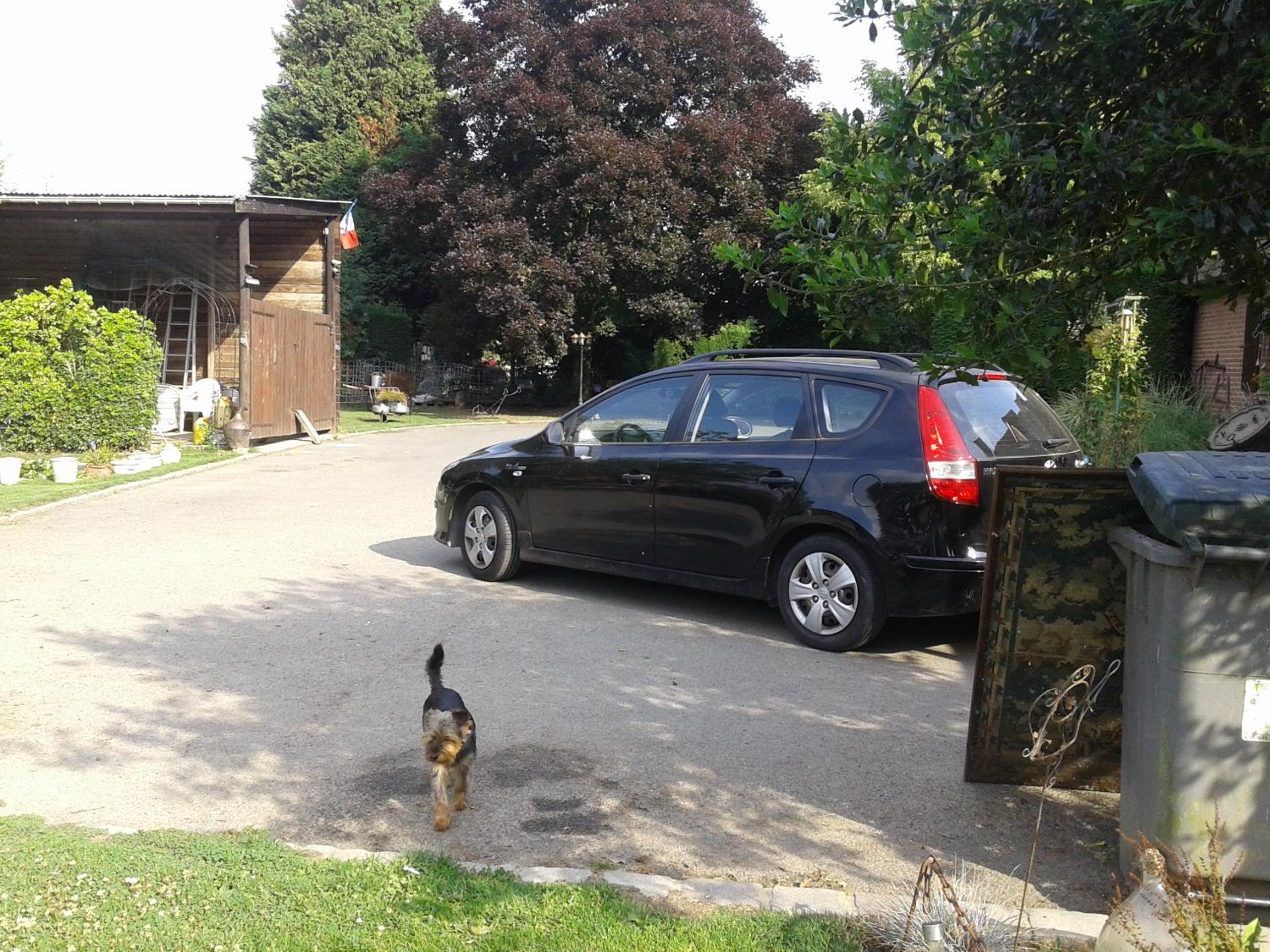 Photo 22