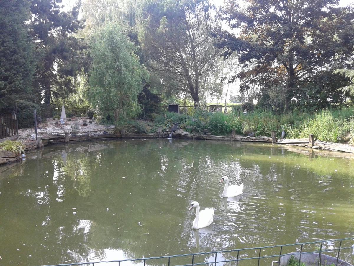 Photo 27