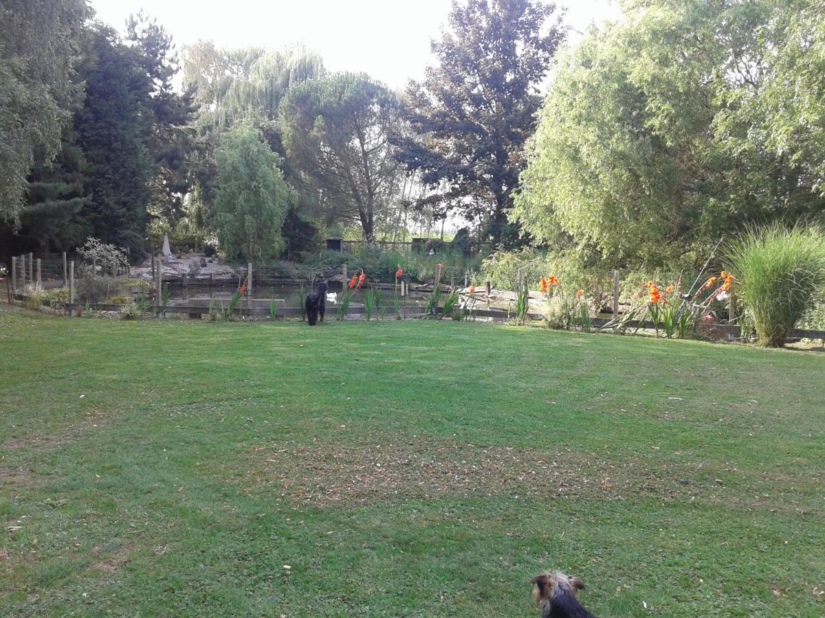 Photo 28