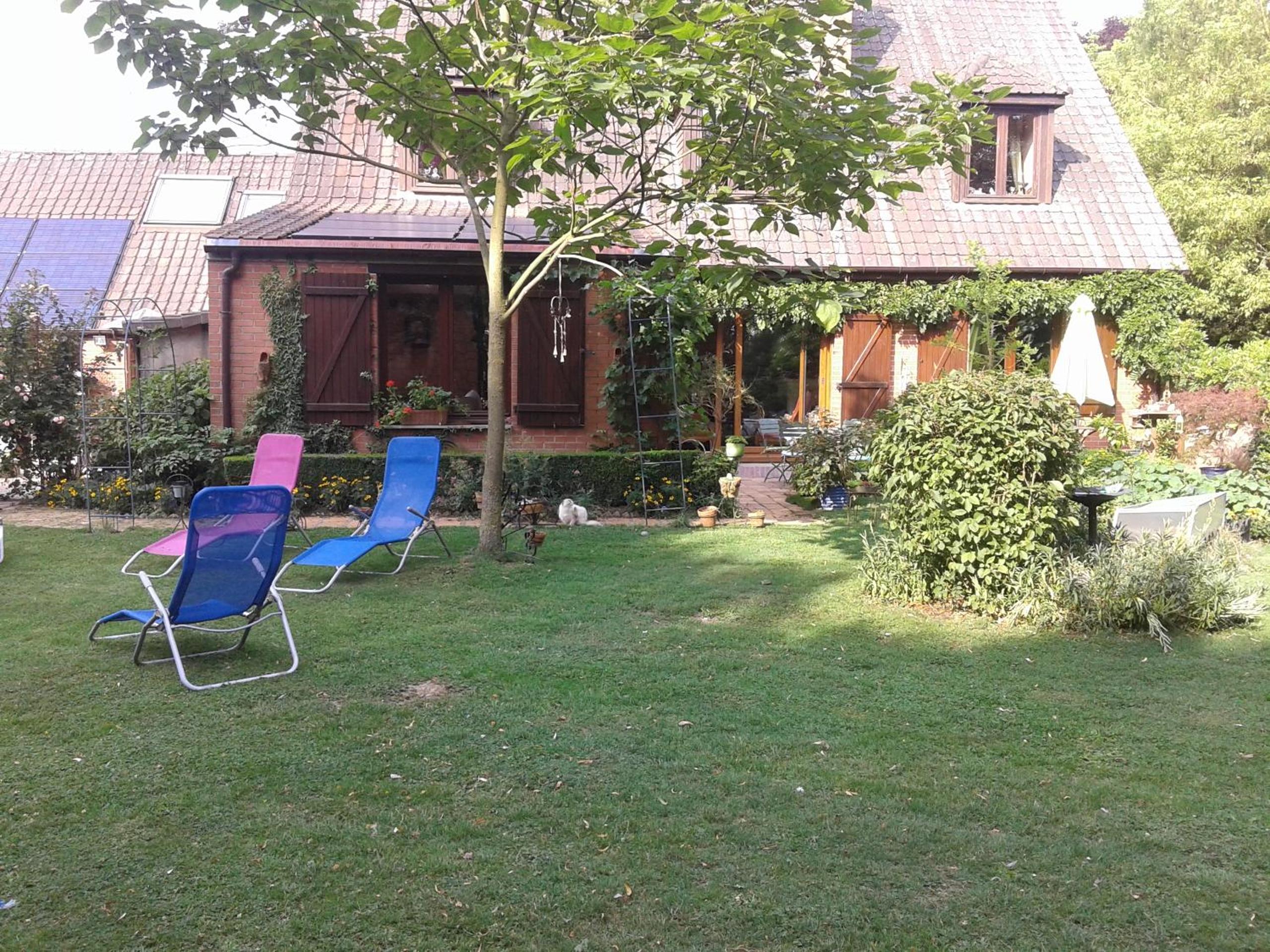 Photo 31