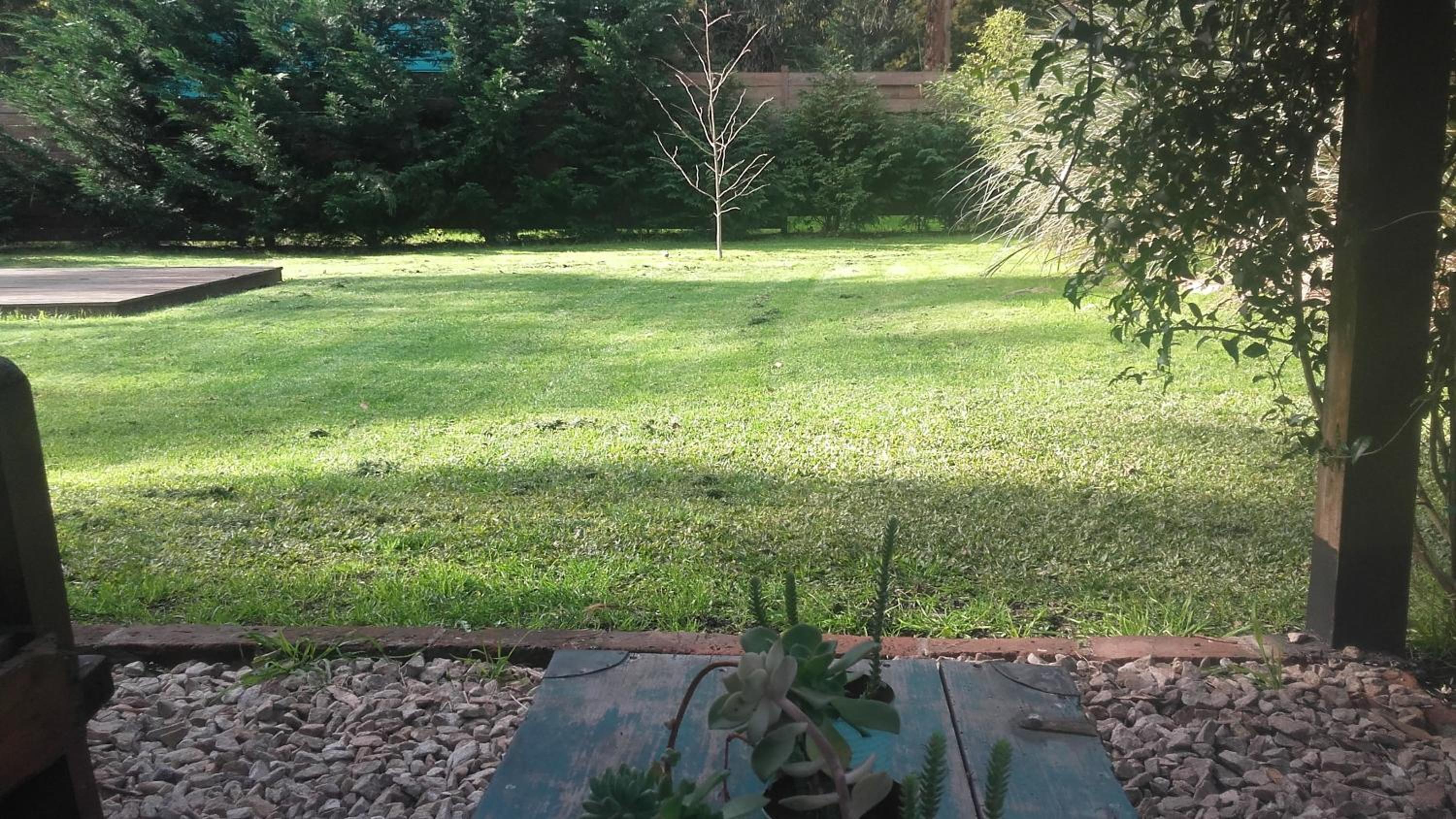Las Cortaderas Bosque Peralta Ramos