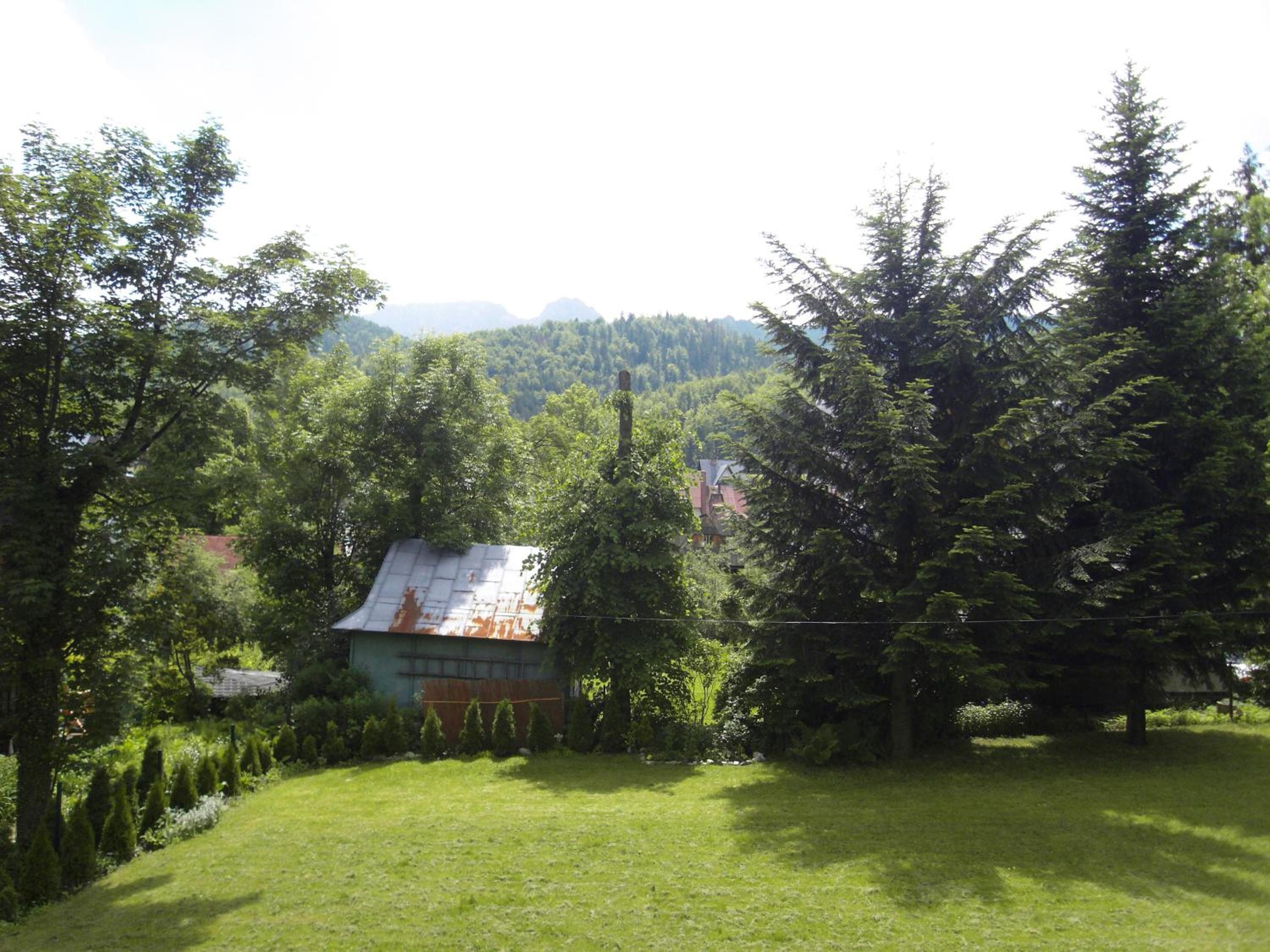 Photo 47