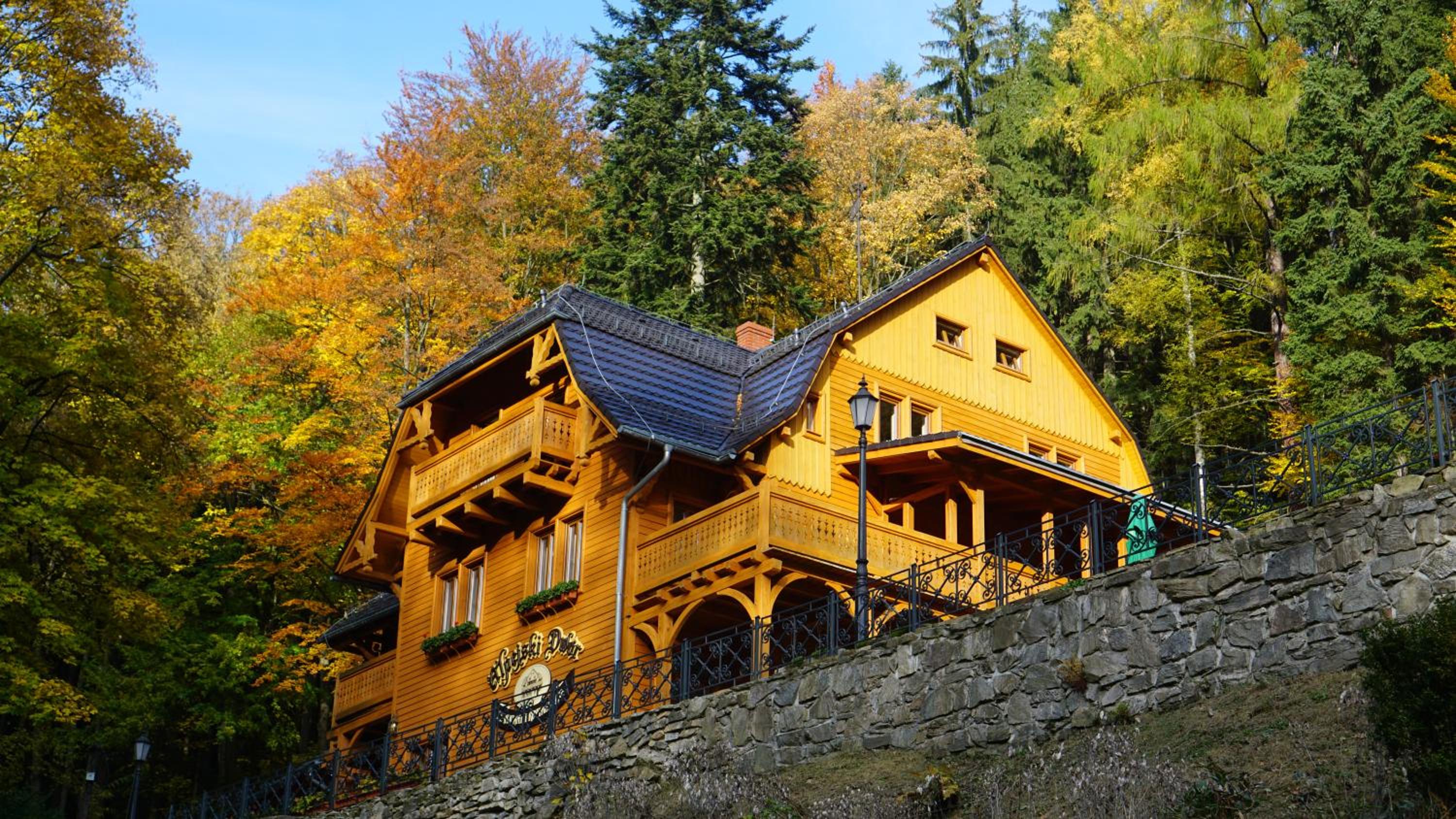 Pensjonat Alpejski Dwór view 5
