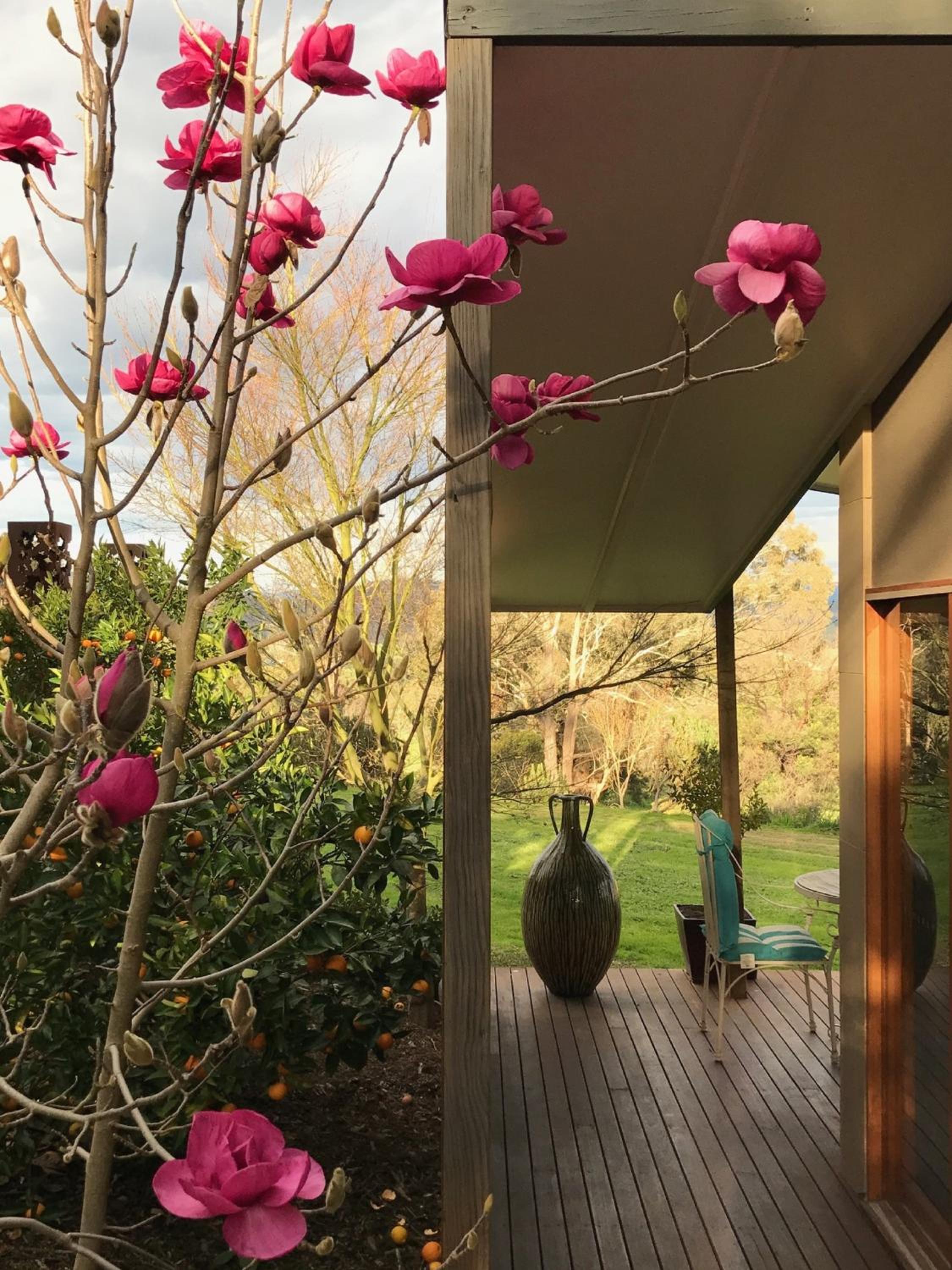 The Studio - Yarra Valley