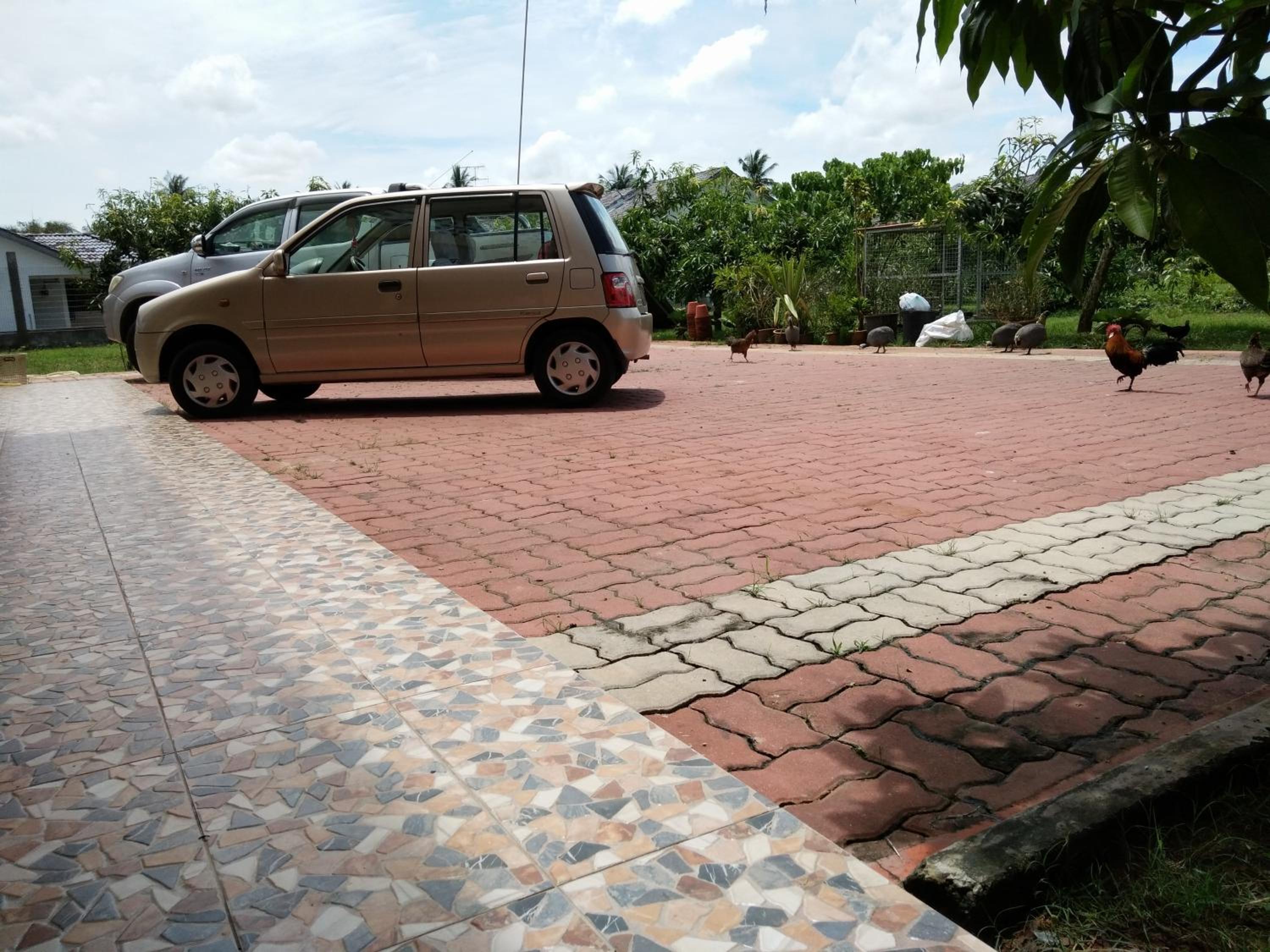 Photo 10