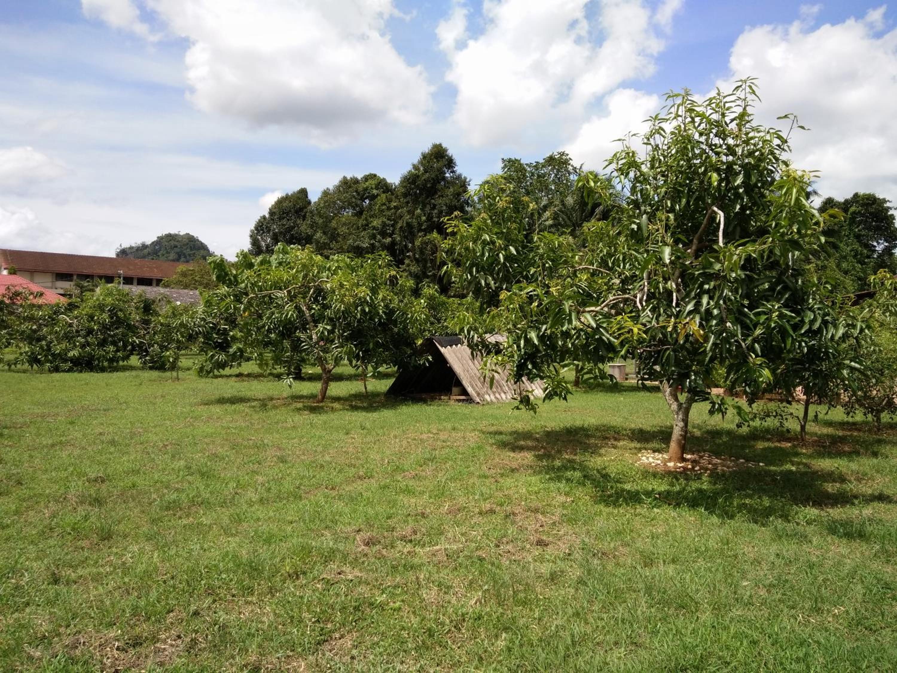 Harum Manis Country House photo 1