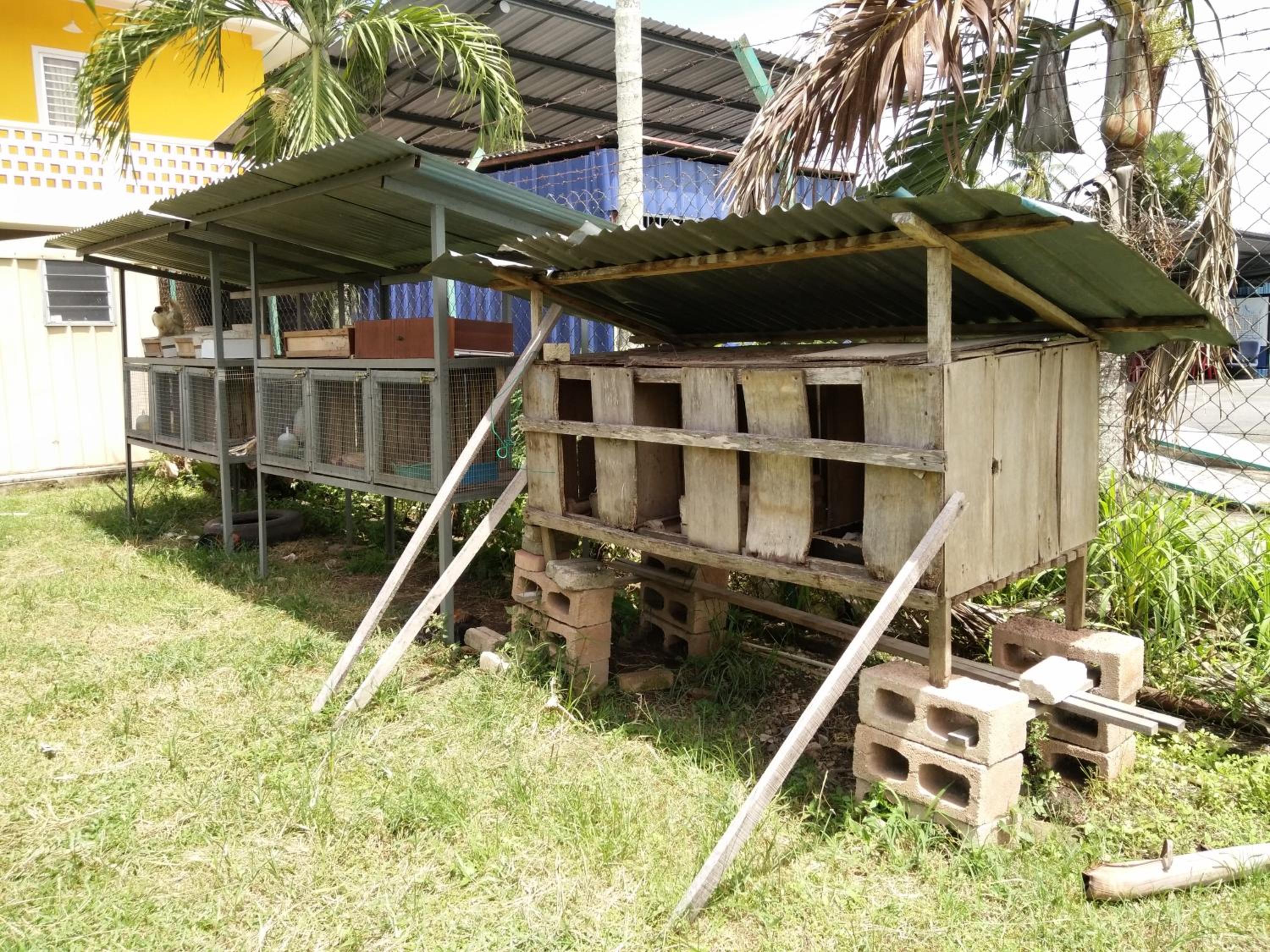 Harum Manis Country House photo 7