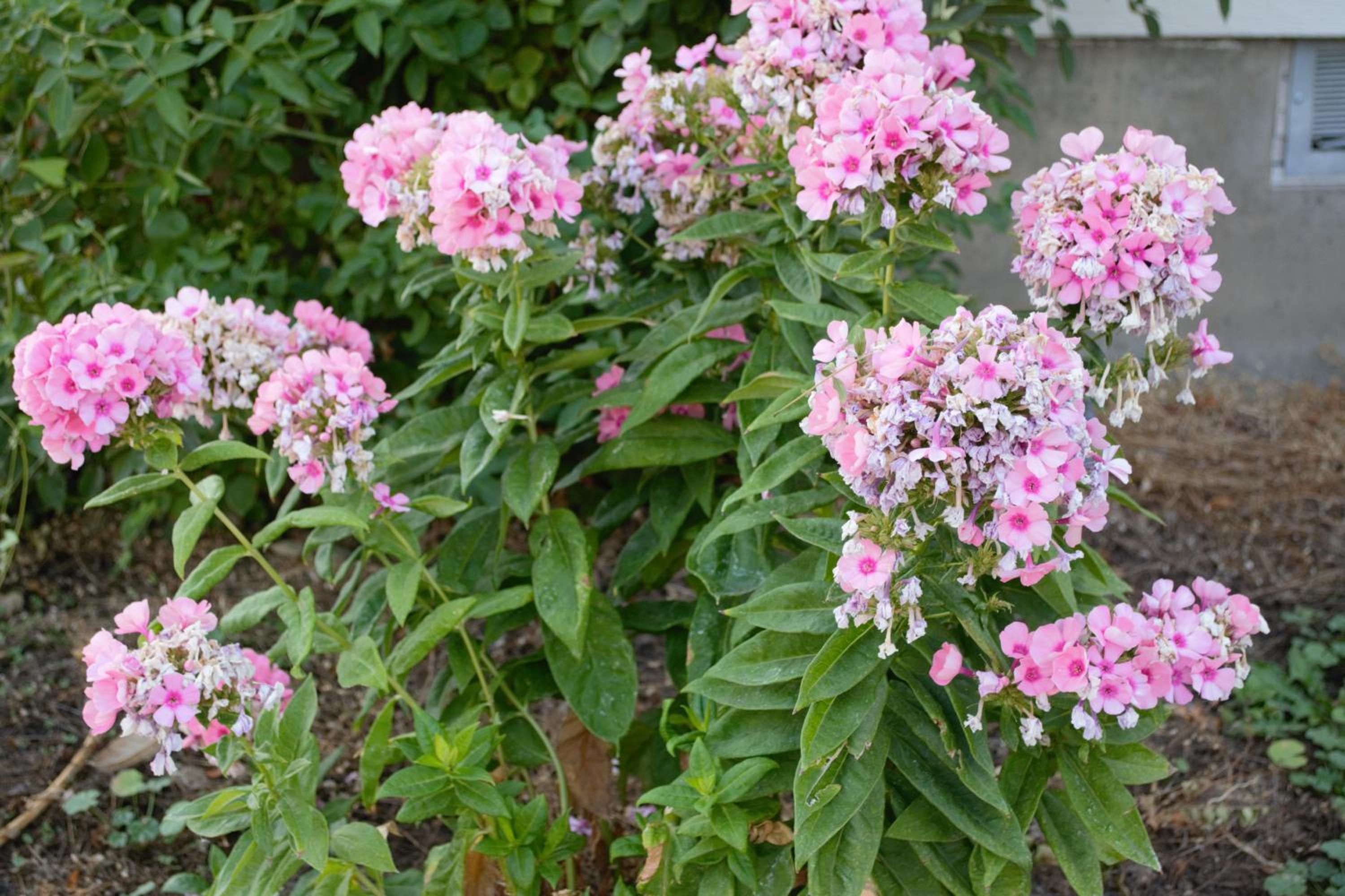 Boise Vacations - 8635 Ustick Road Apartment - Property Image 2