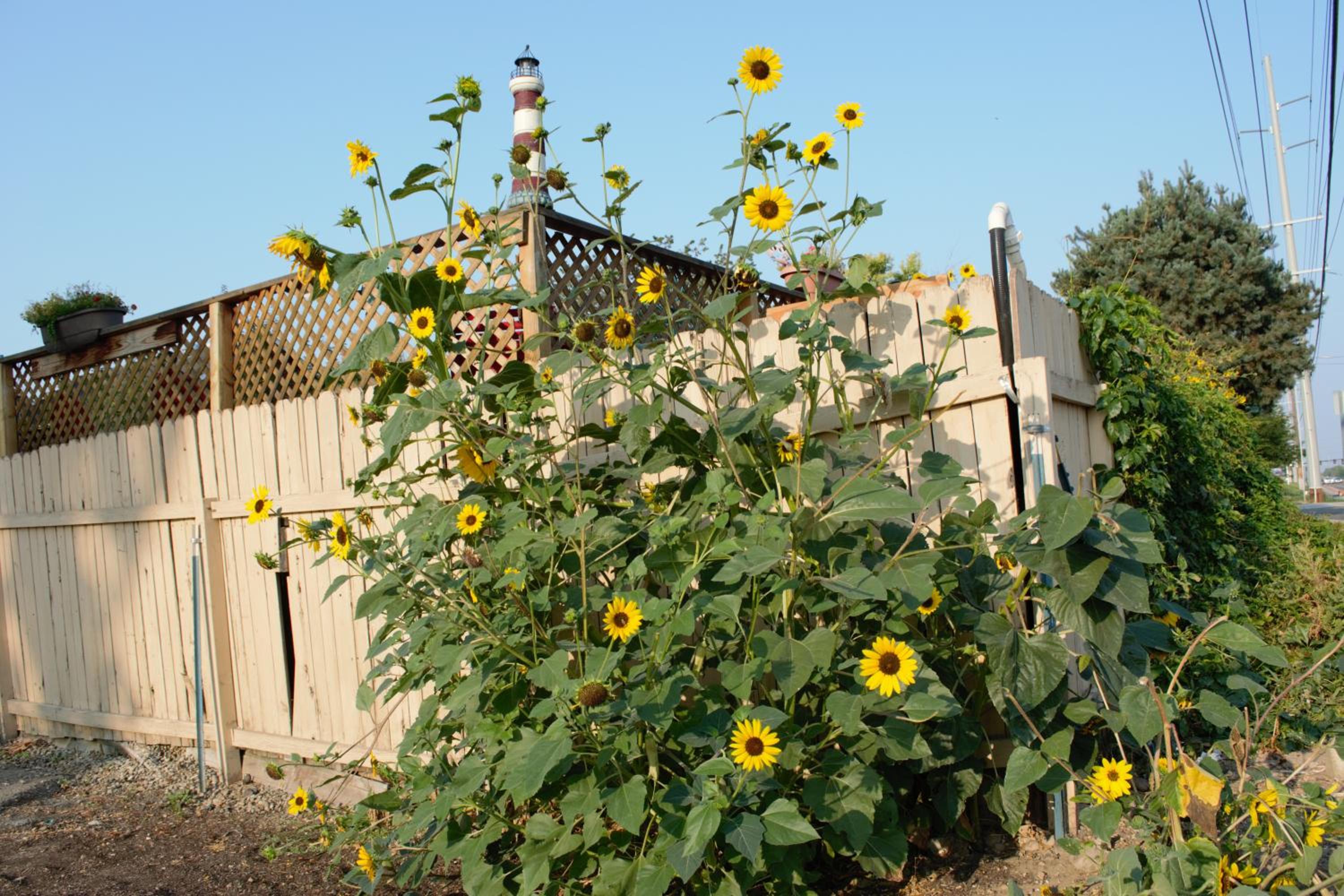 Boise Vacations - 8635 Ustick Road Apartment - Property Image 3
