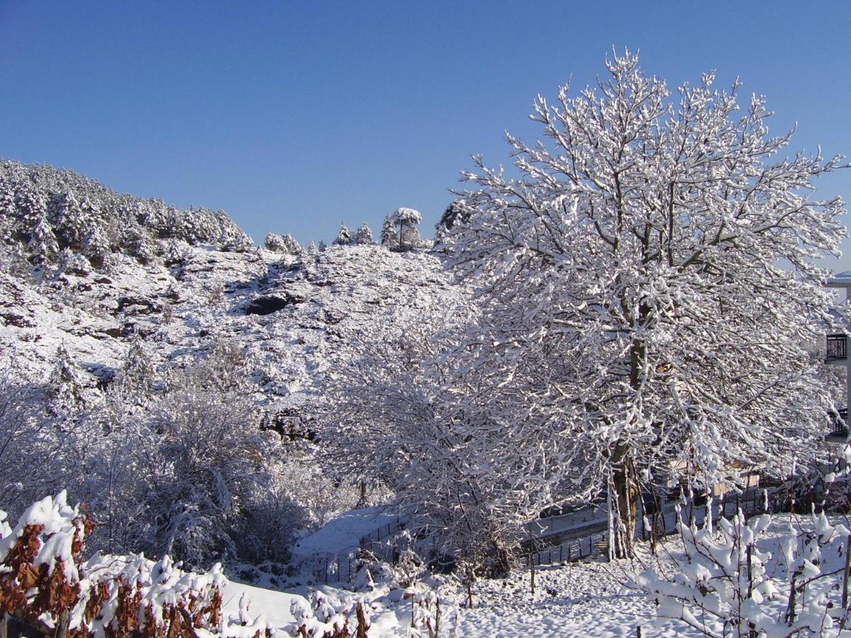 Panorama Kakopleyri Kalabakas