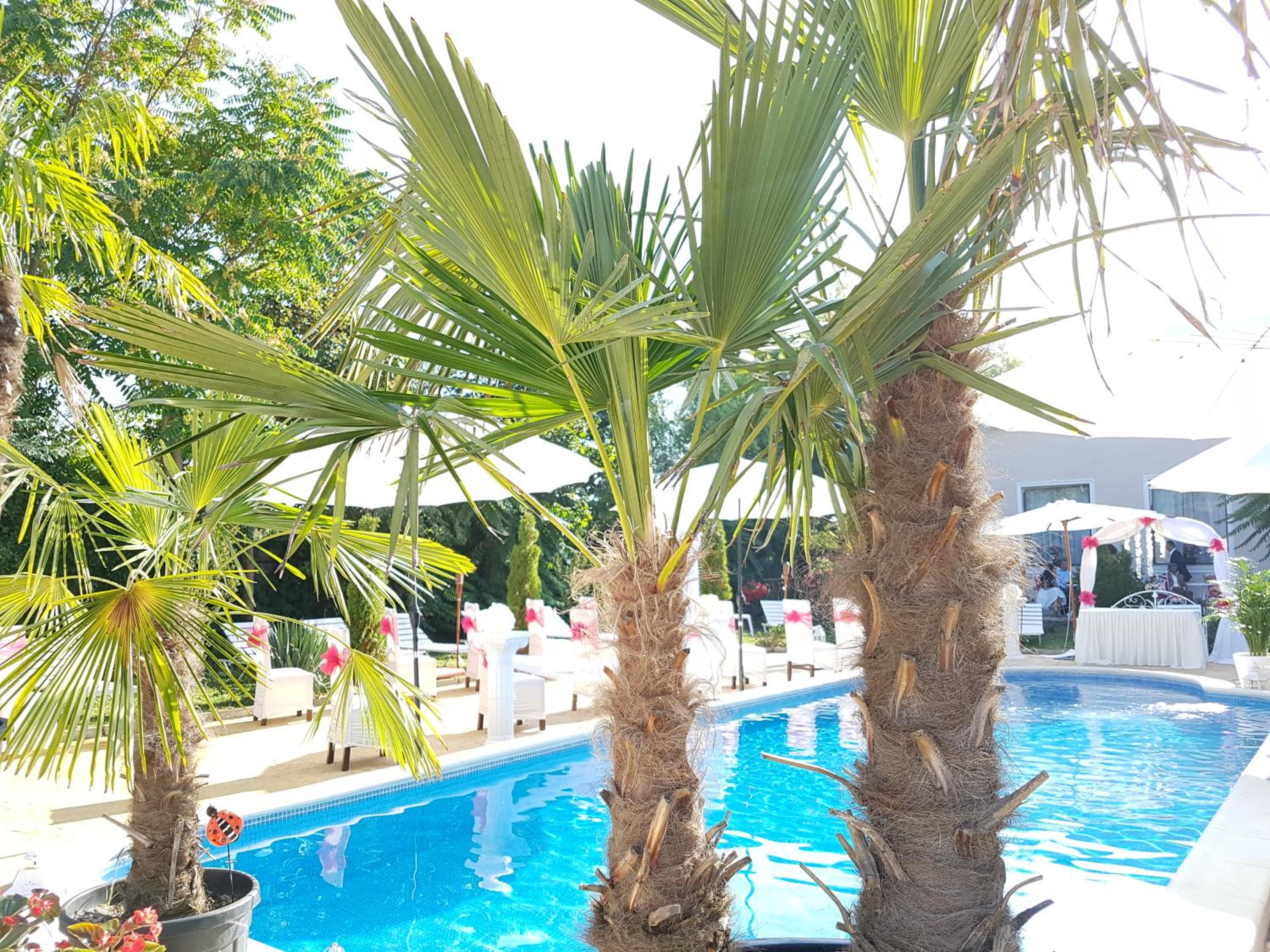 Hotel Elisabeta