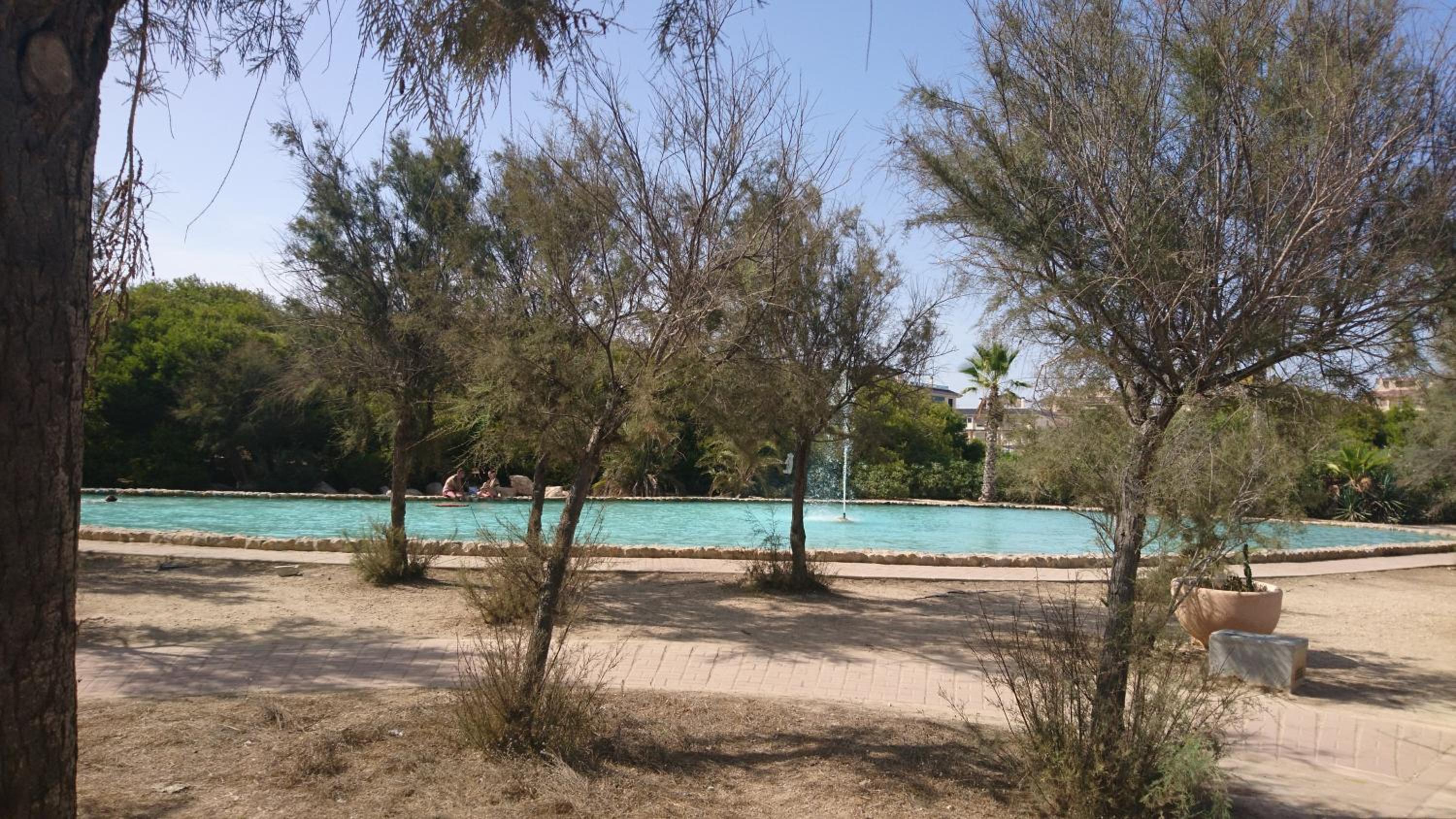 Stunning La Mata Beach Suite