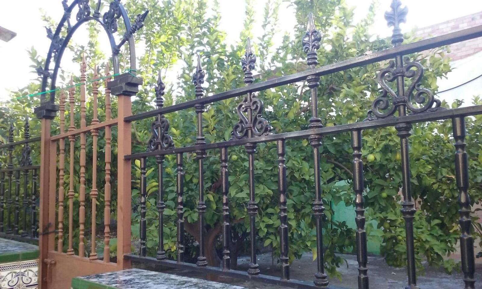 Photo 29