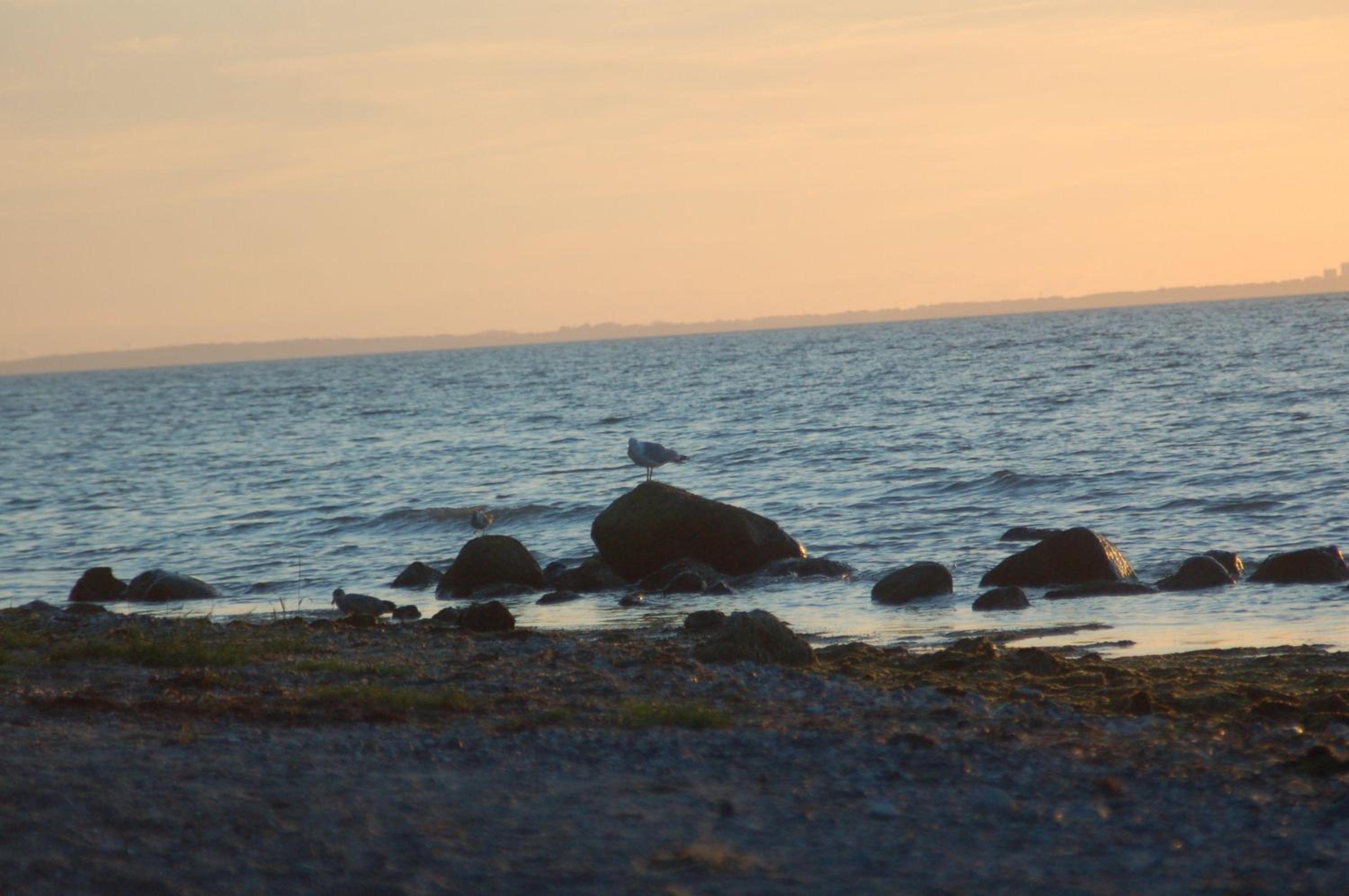 Ostsee-Ferienoase-3-Raum-App-Typ-1 view 4