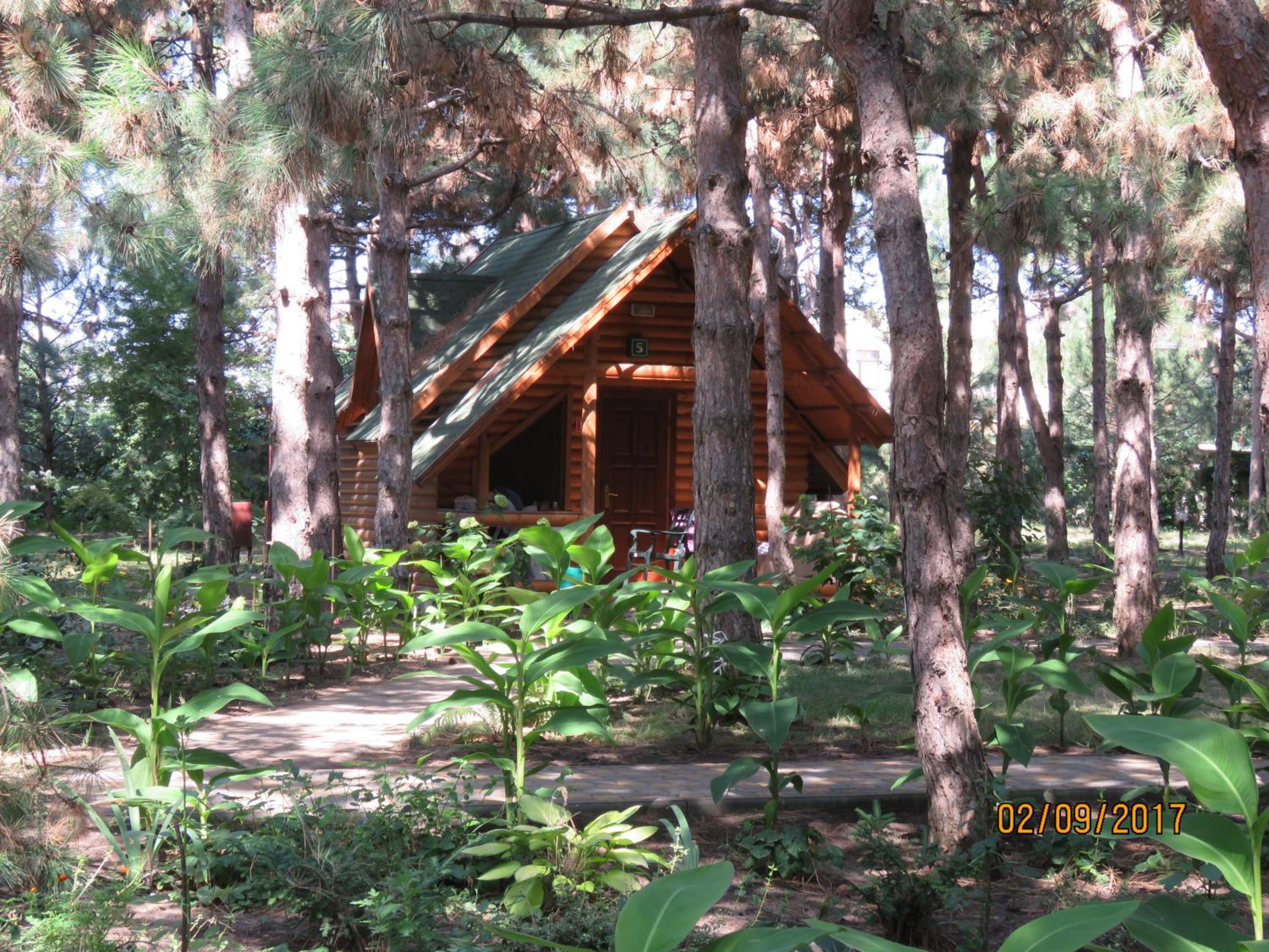 Photo 34