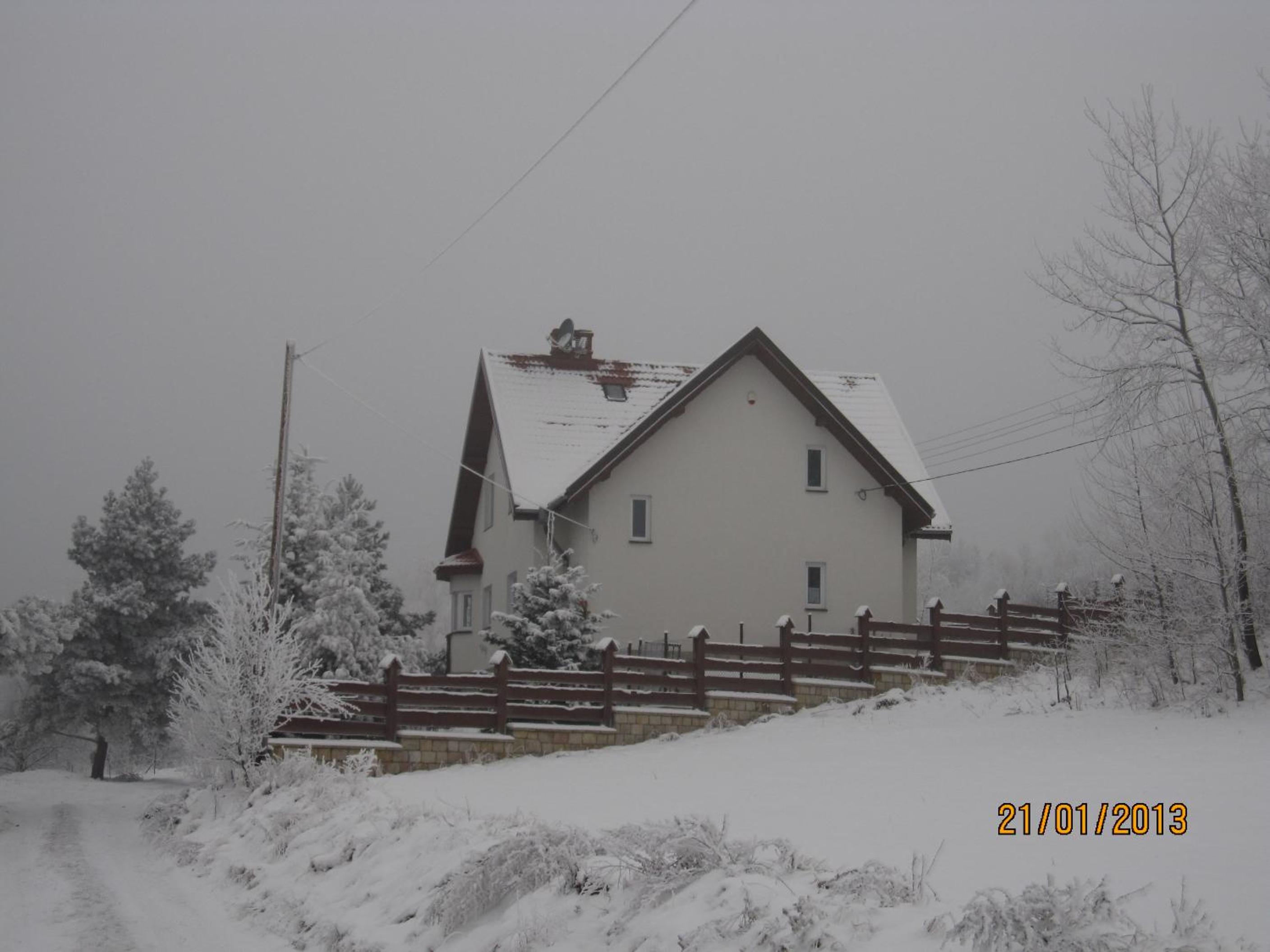 Photo 50