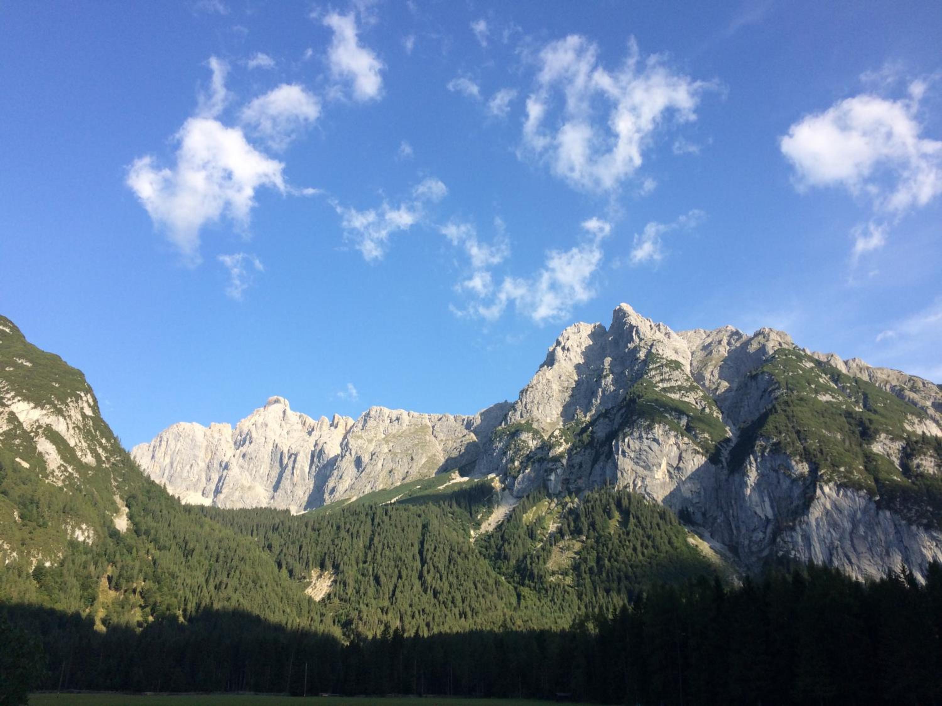Photo 14