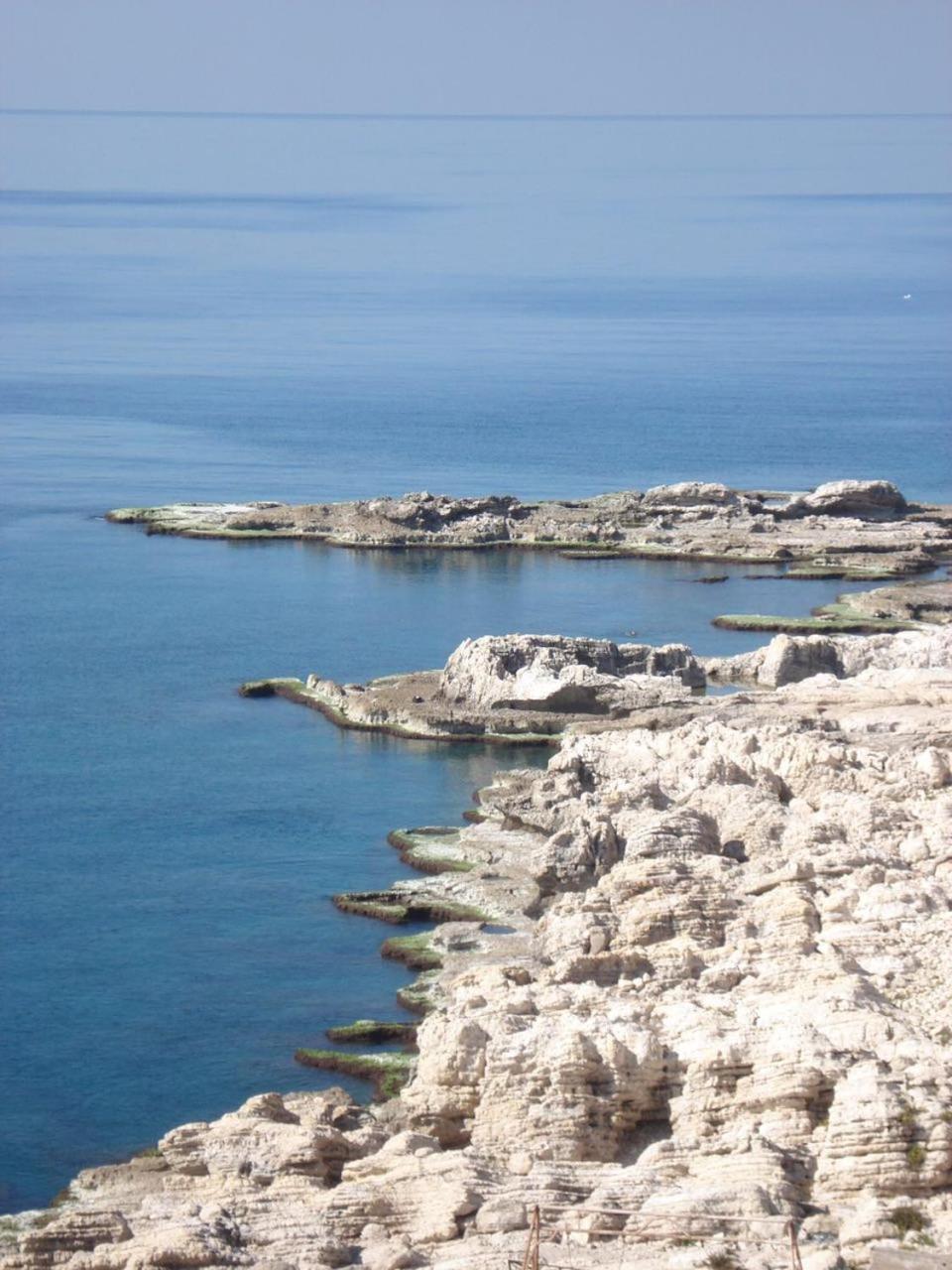 Photo 201