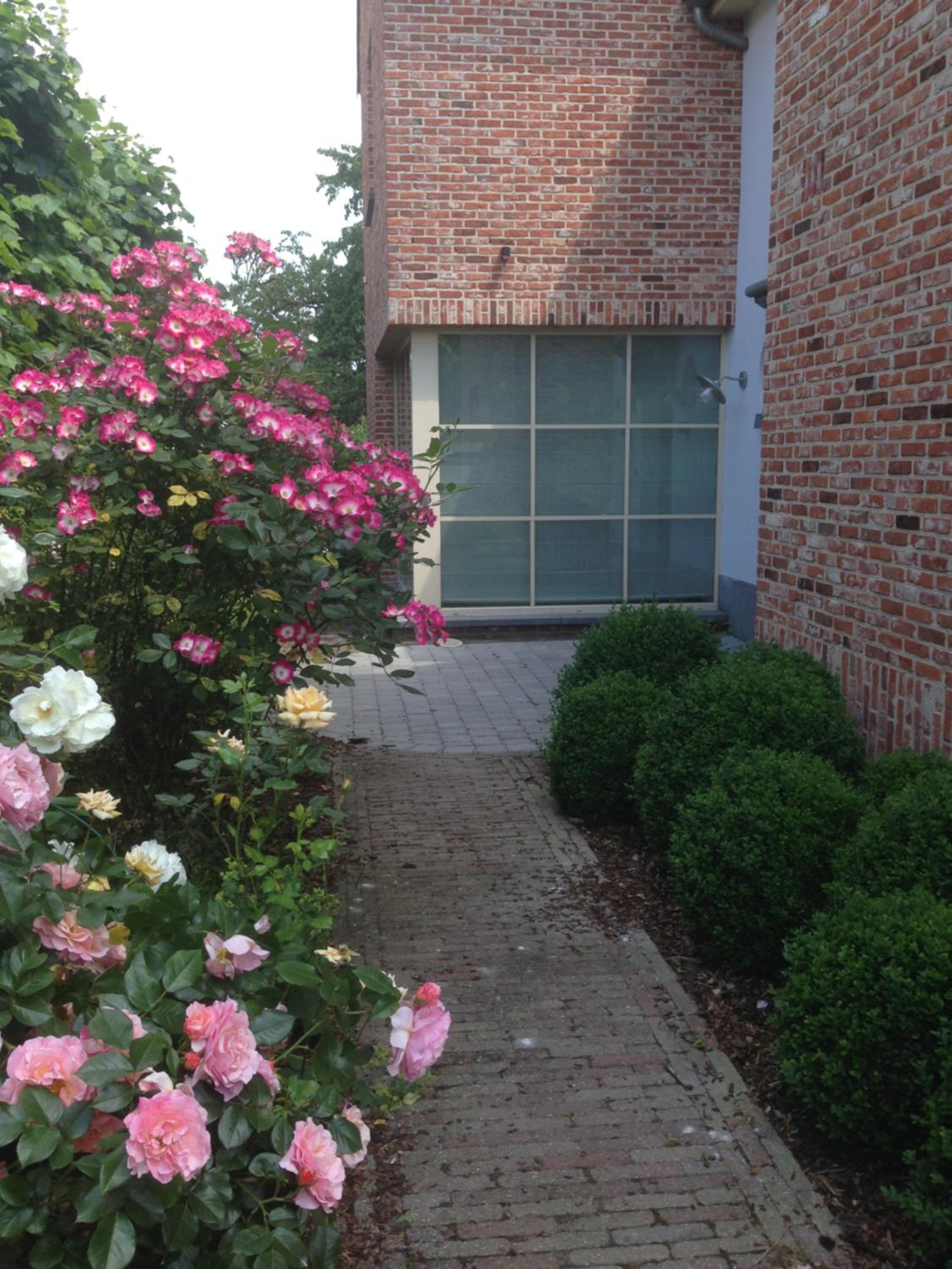 Photo 51
