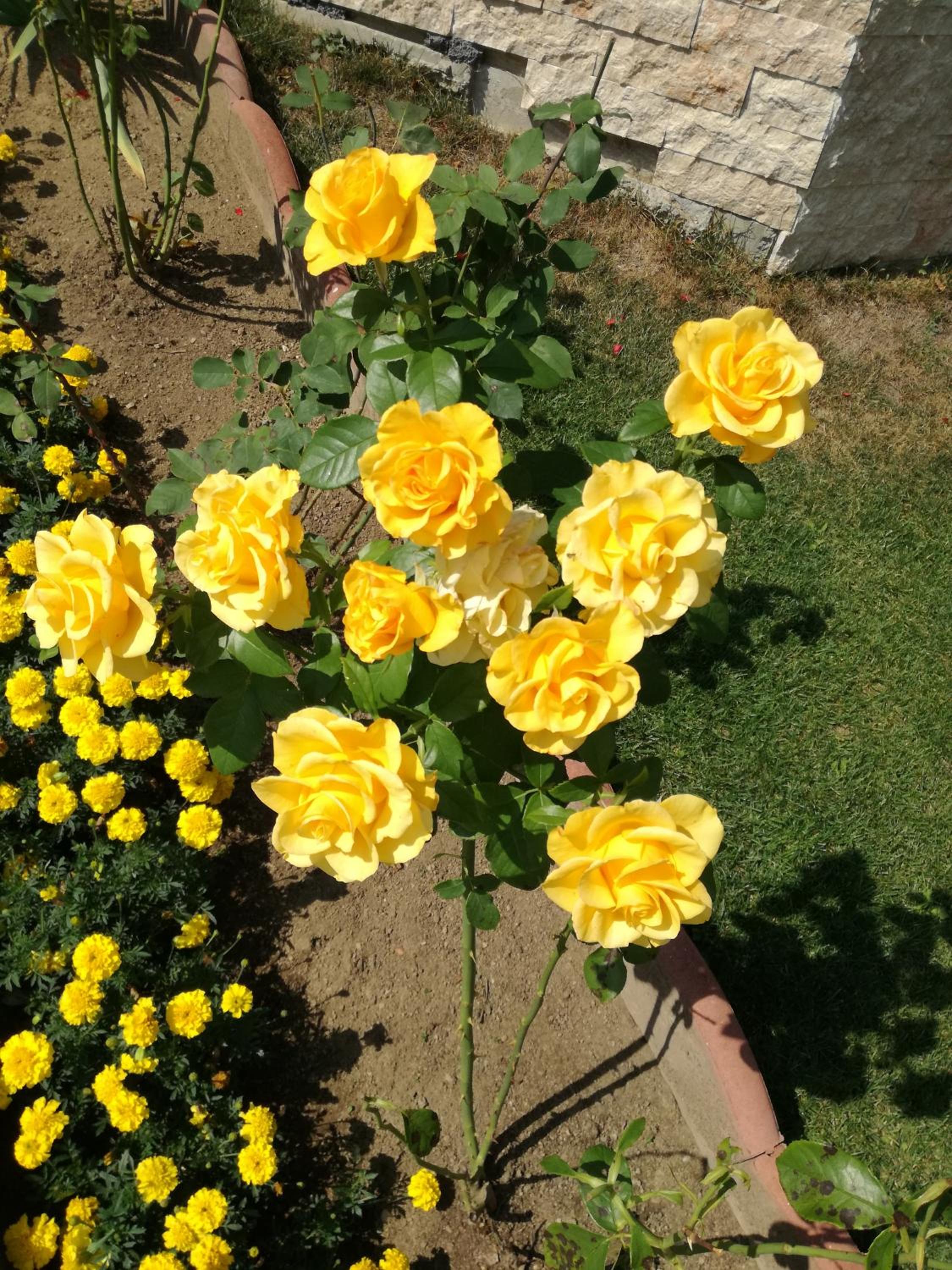 Photo 7