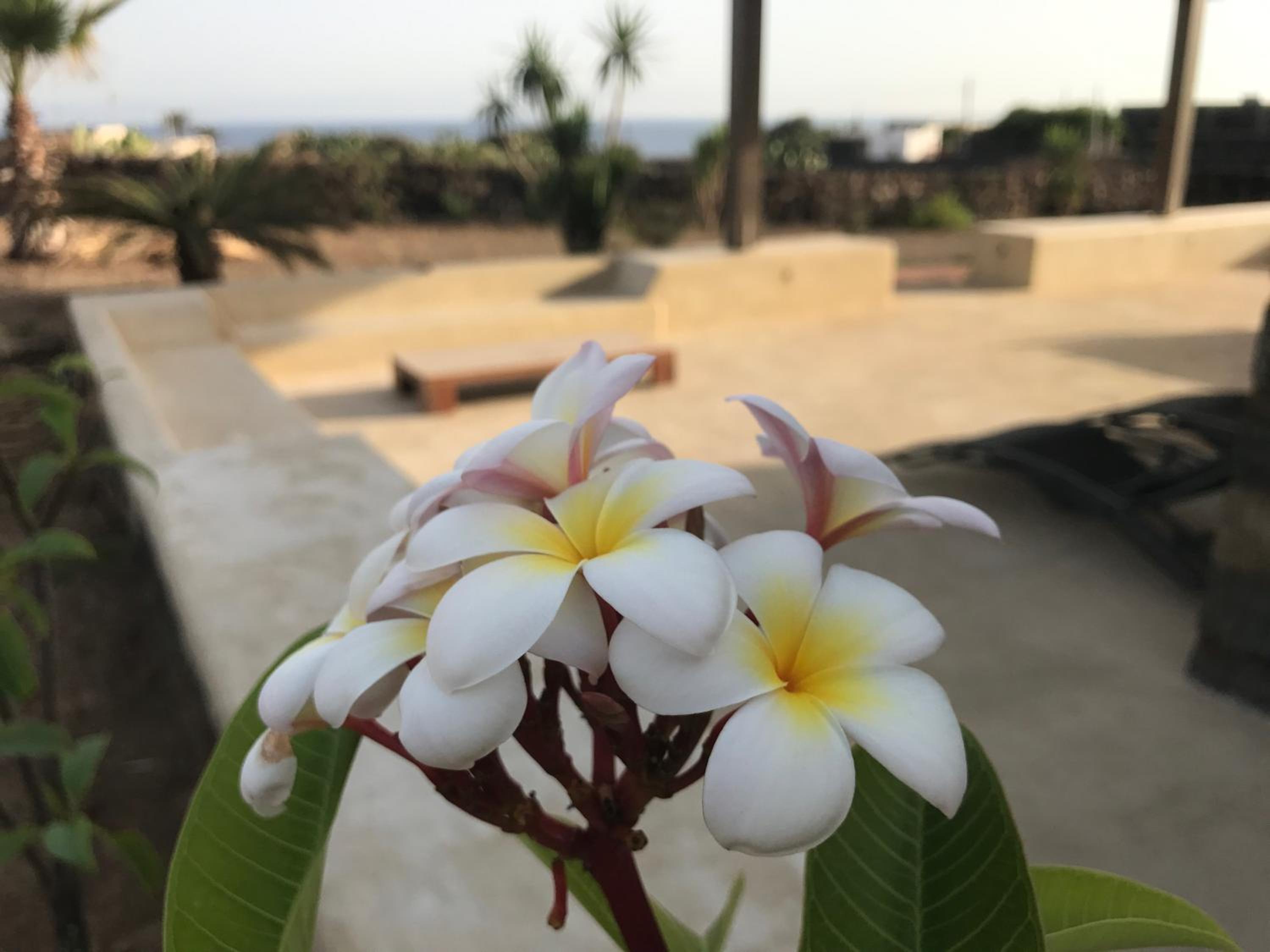 Etherea - I Dammusini di Pantelleria