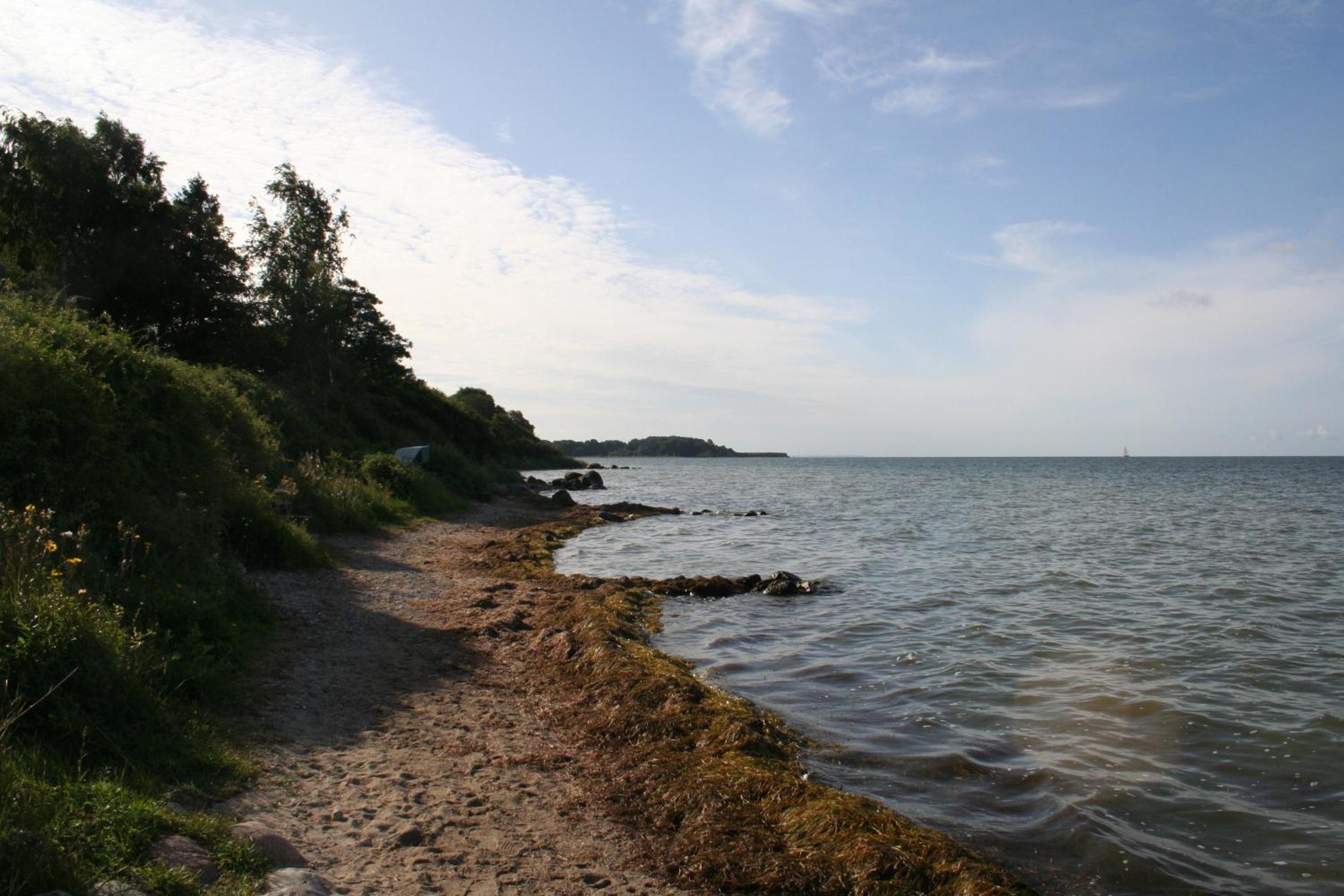 Haus - Meeresbrise