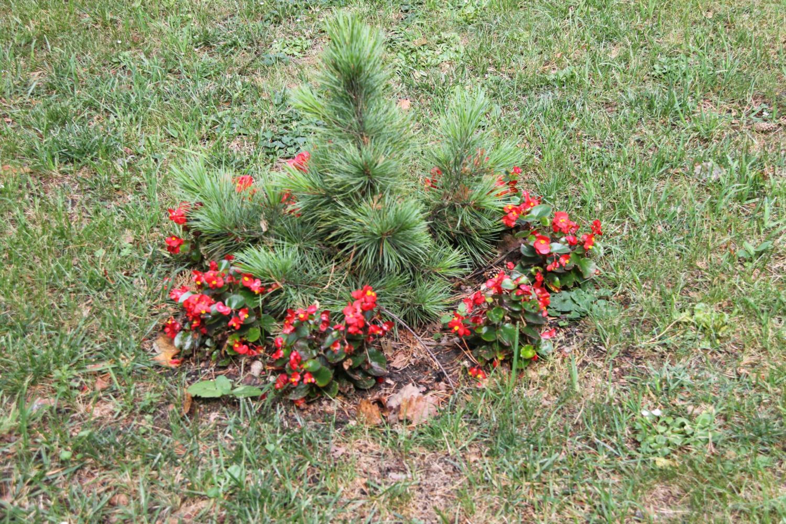 Photo 58