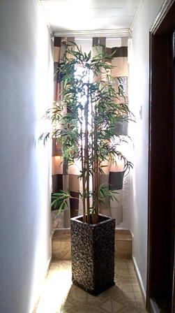 Photo 33