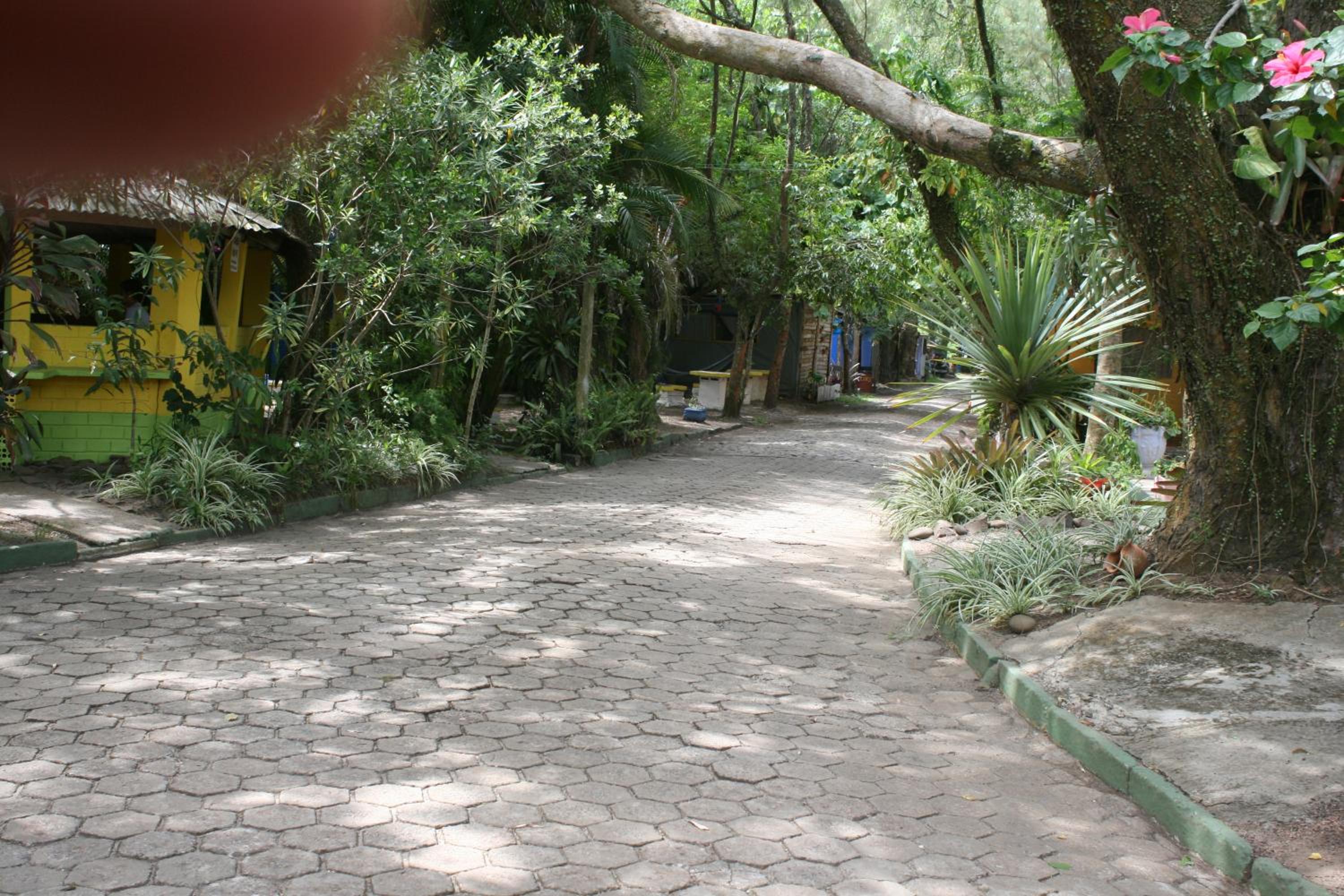 Photo 19