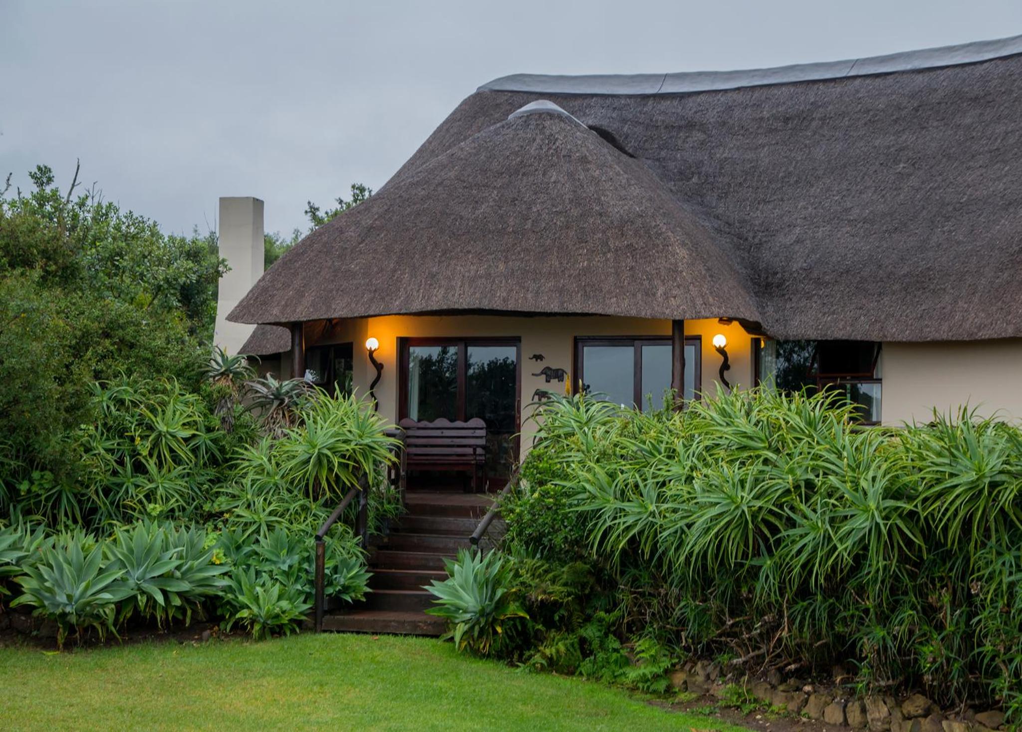Addo Elephant Safari Lodge - Bellevue Forest Reserve