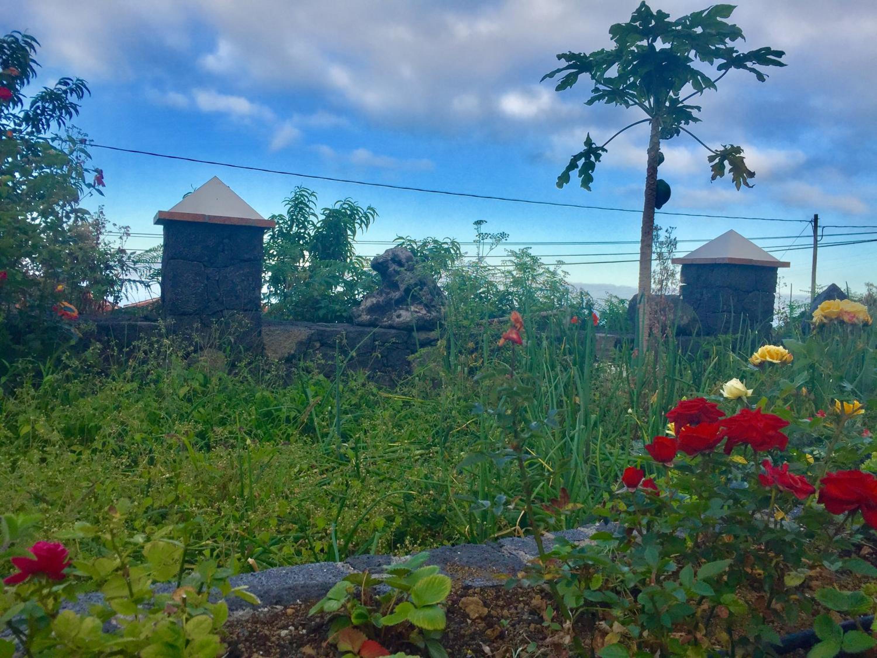 Costa Este House photo 5