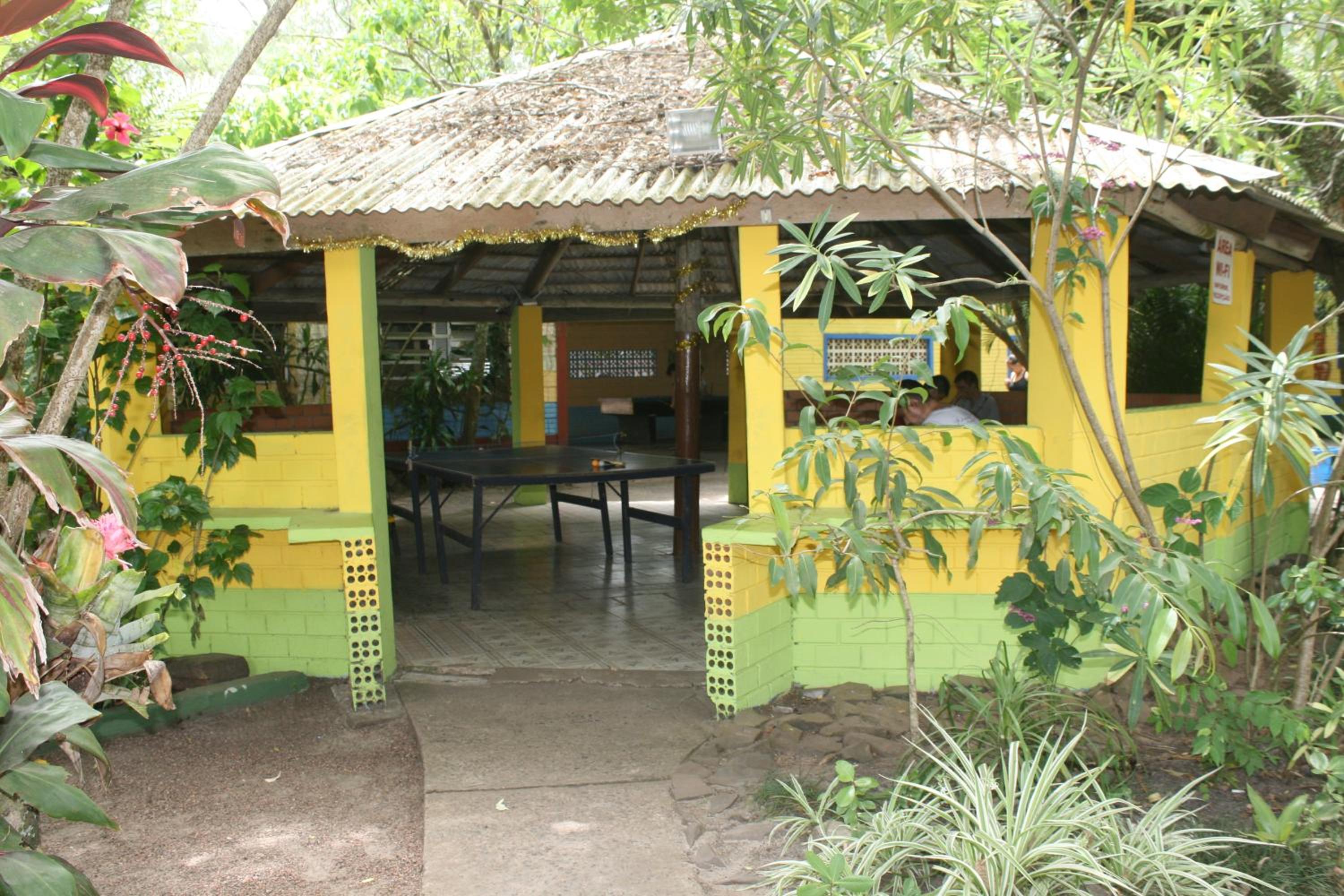 Photo 11