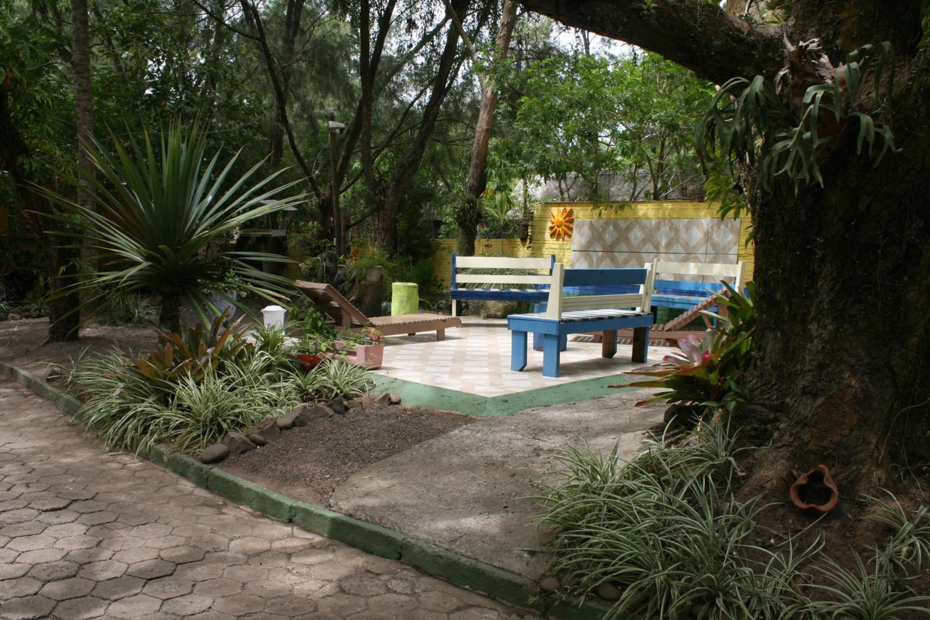 Photo 9