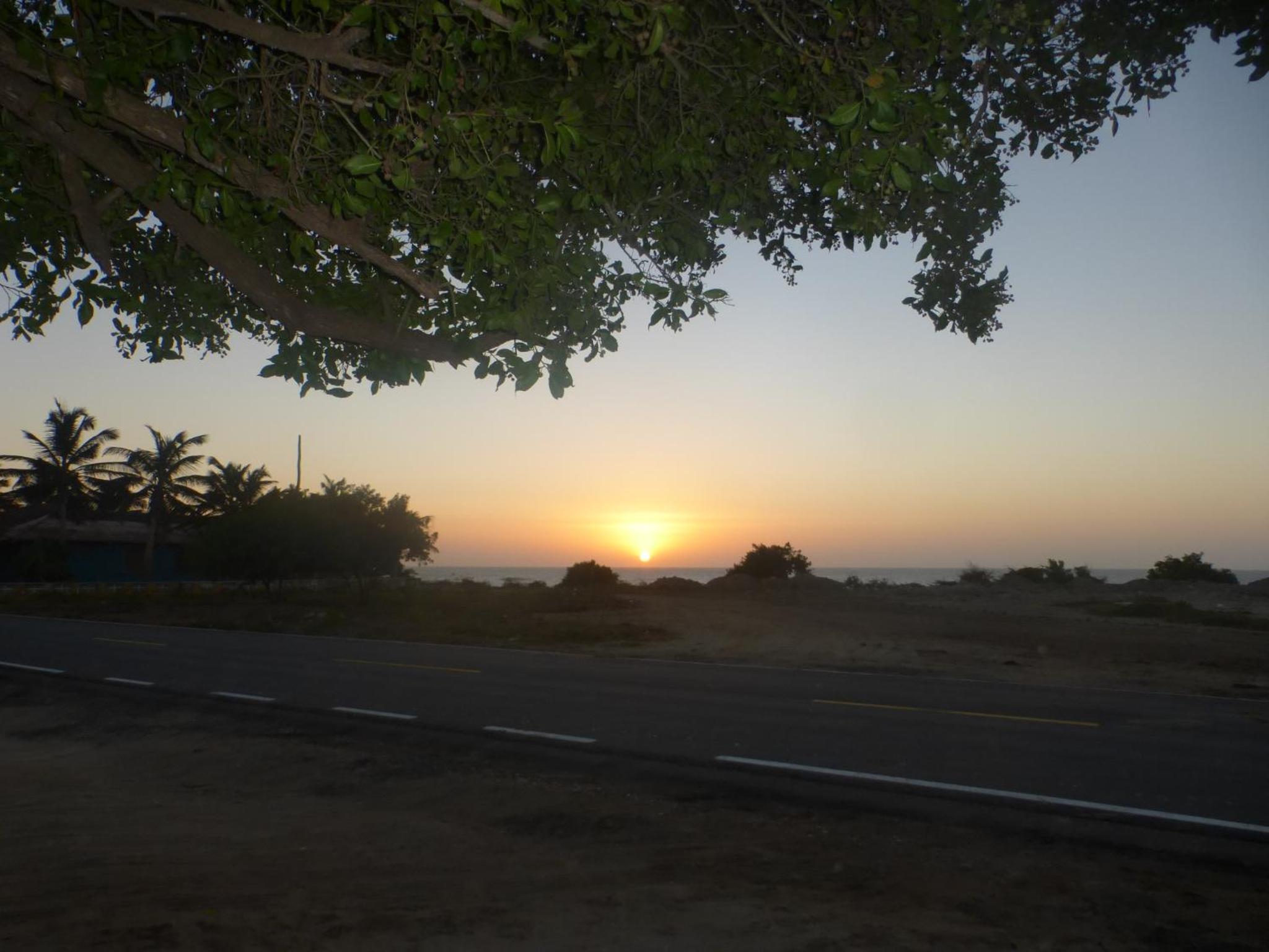 Galerazambahostal