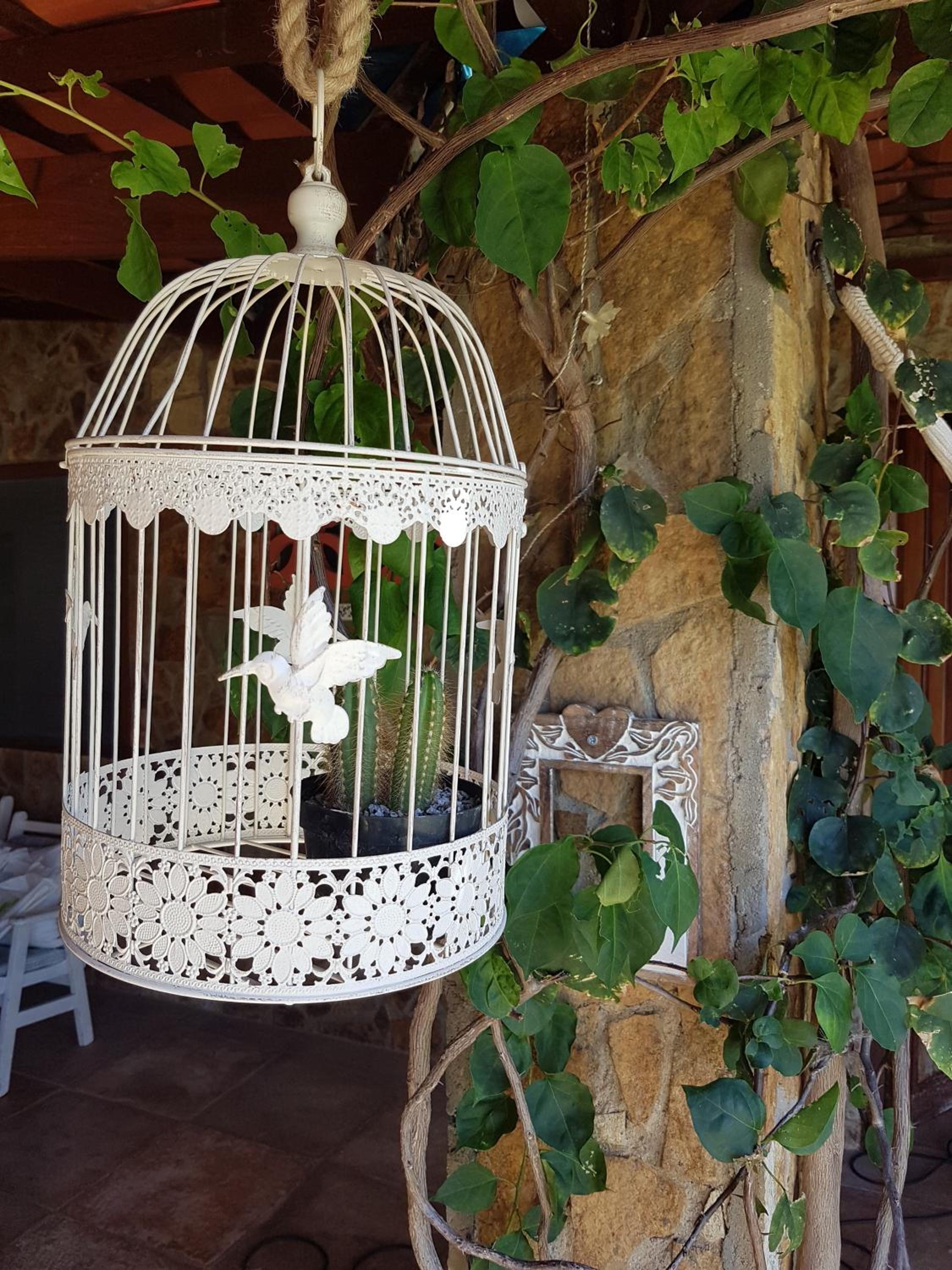 Casa Dos Patos