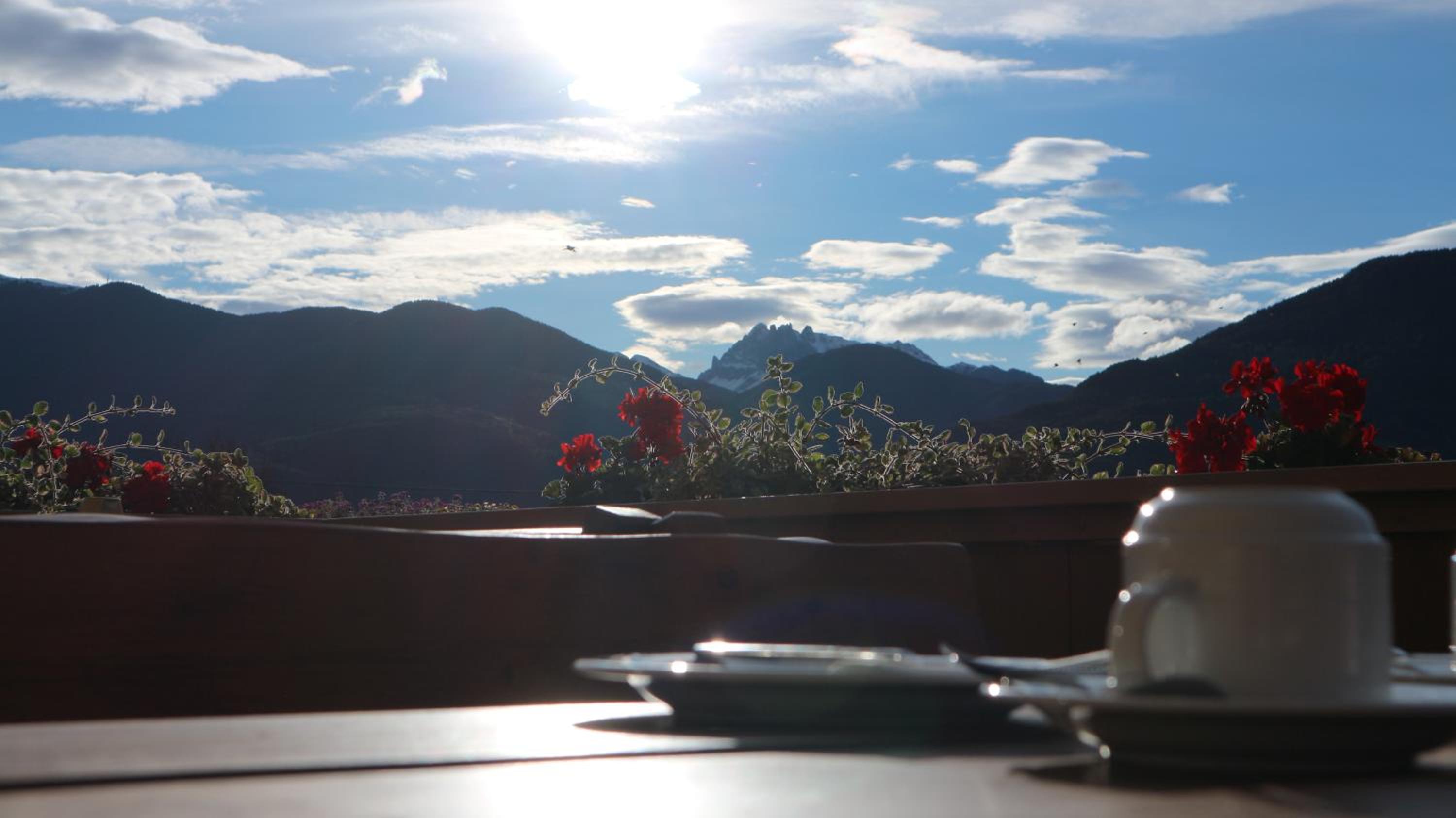 B&B Brunnerhof view 5