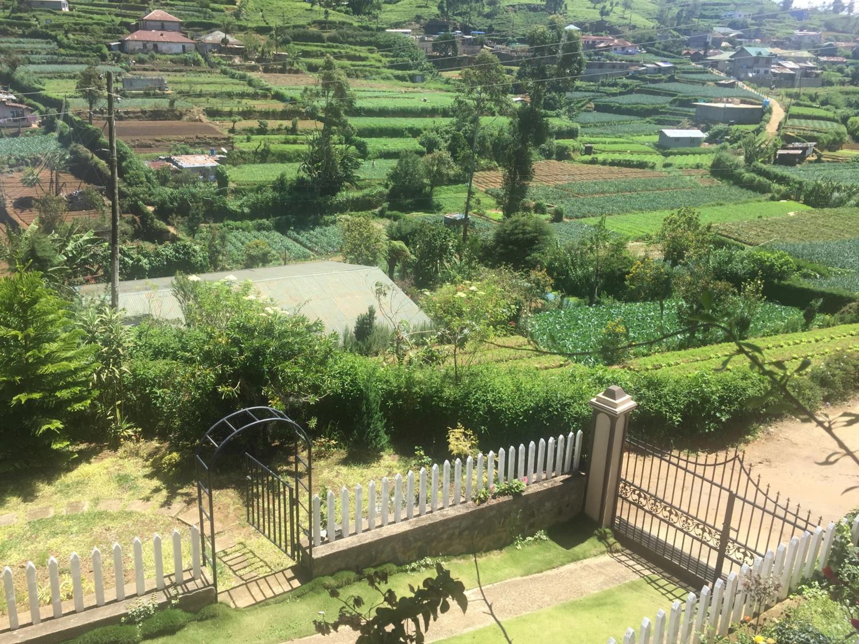 Perera Homestay