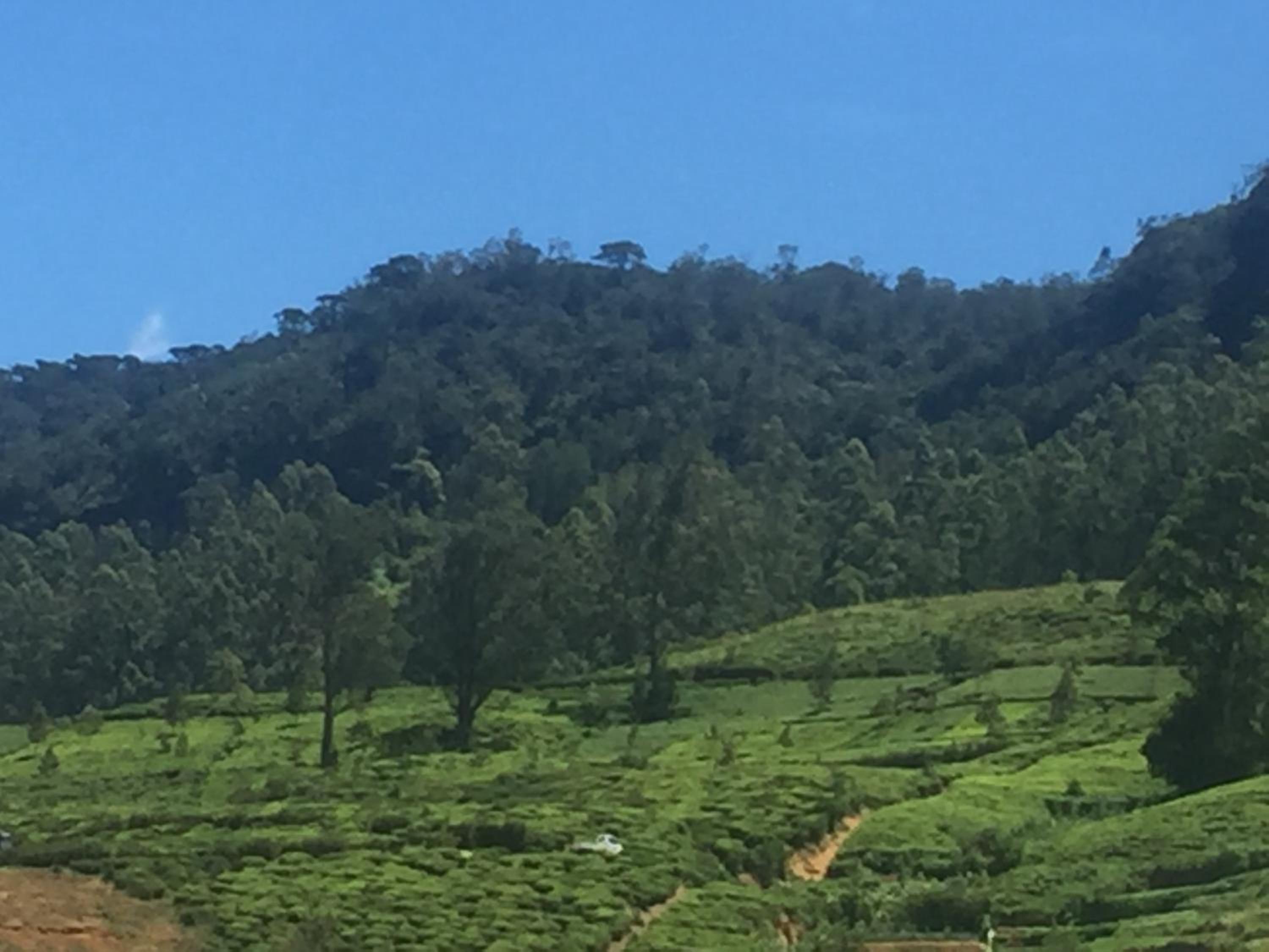 Perera Homestay