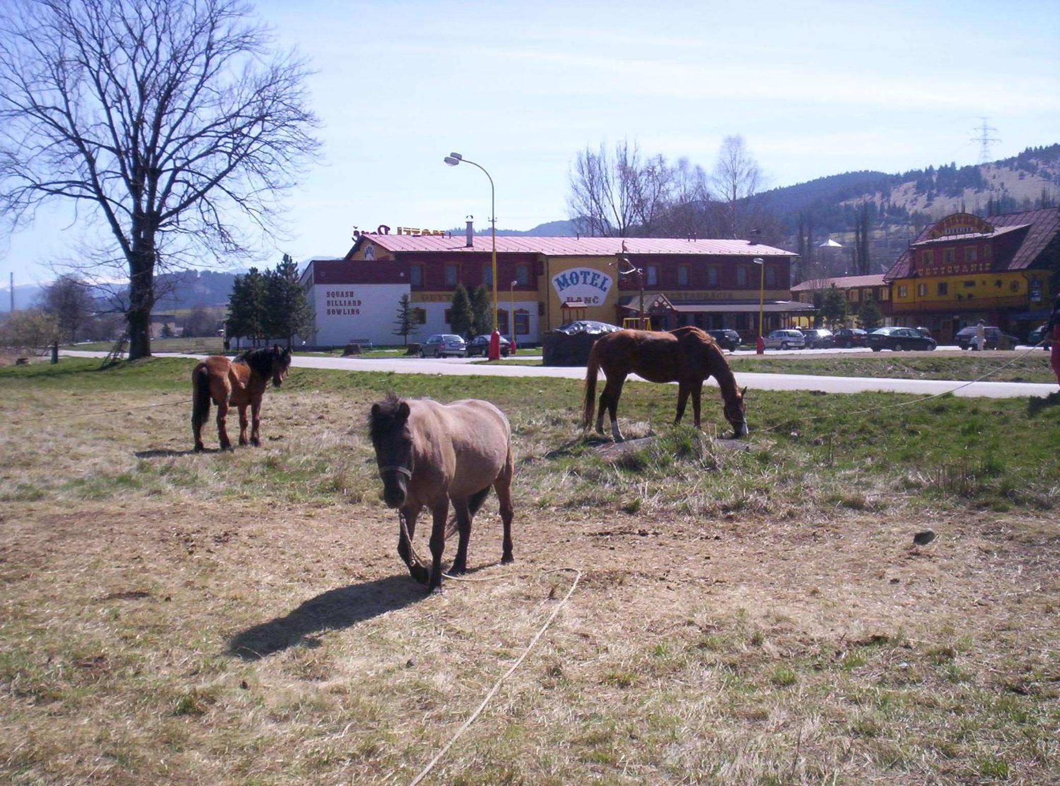 Motel Ranč